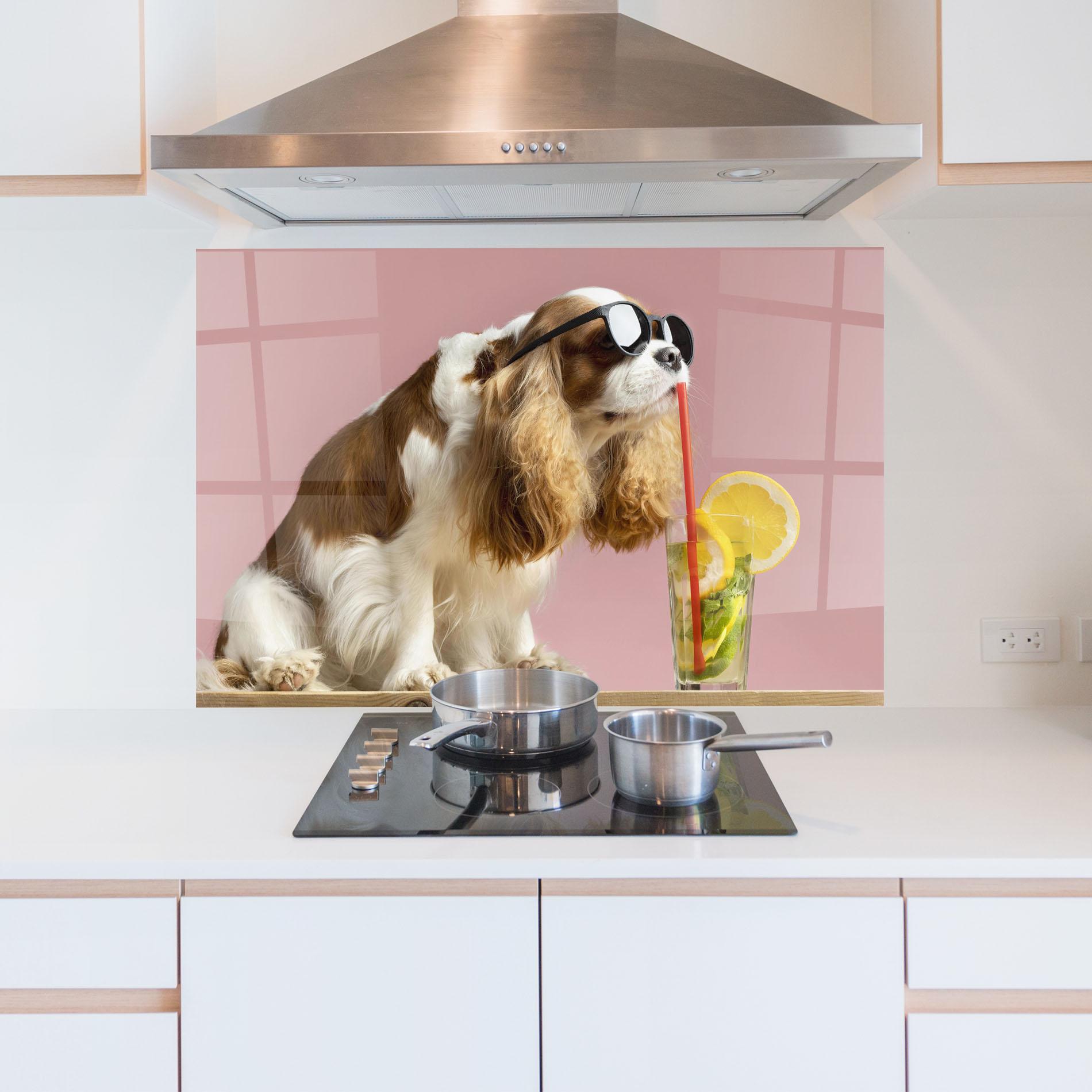 Стъклен панел за кухня Dog With Juice mockup 5
