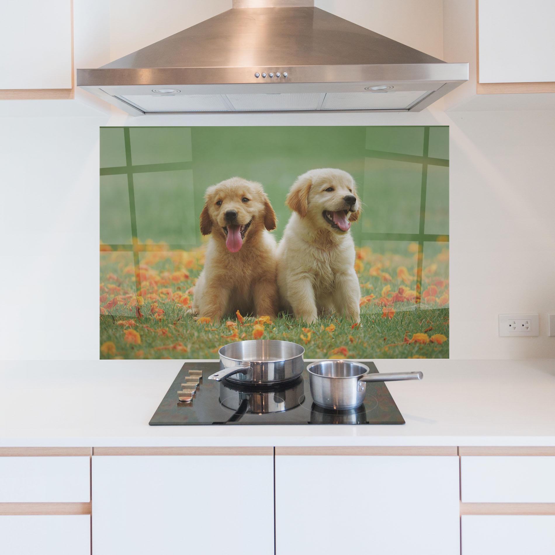 Стъклен панел за кухня Happy Dogs mockup 5