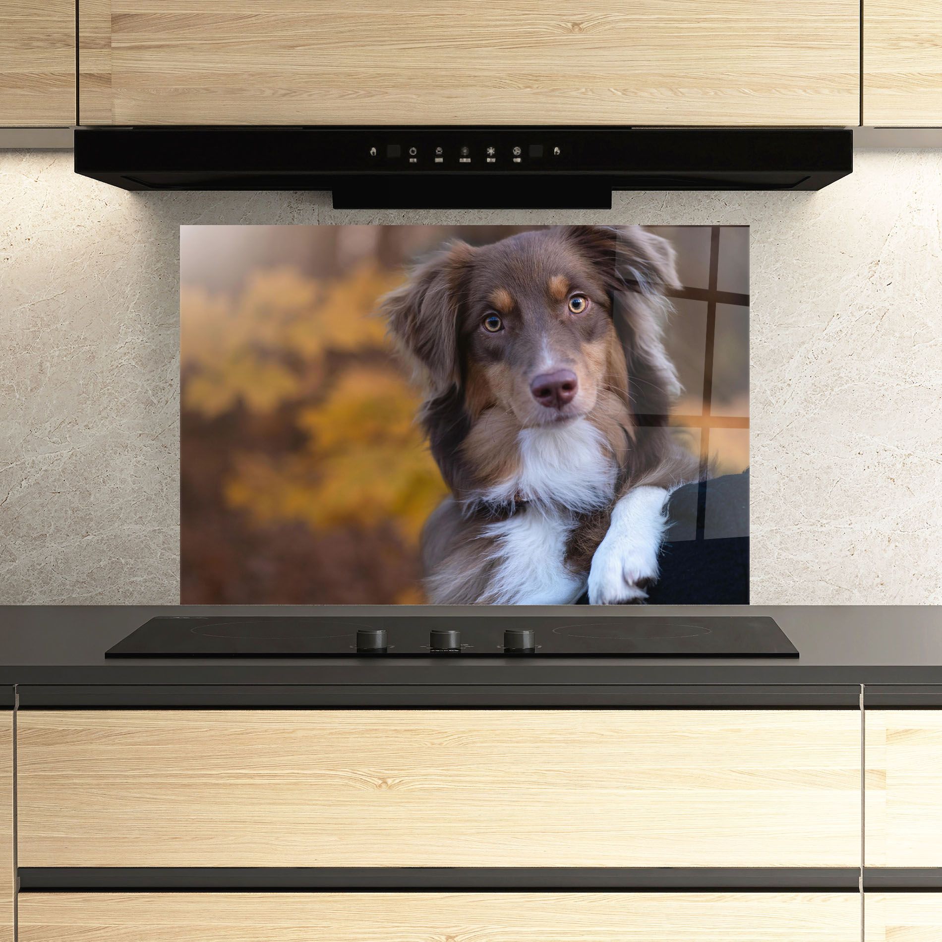 Coffee Brown Dog mockup 3