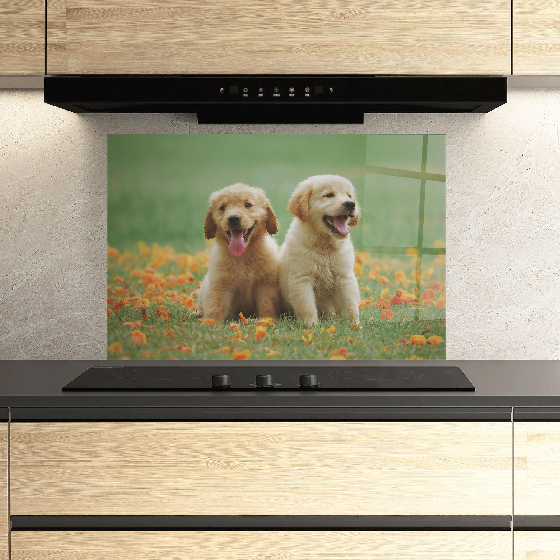 Стъклен панел за кухня Happy Dogs mockup 3