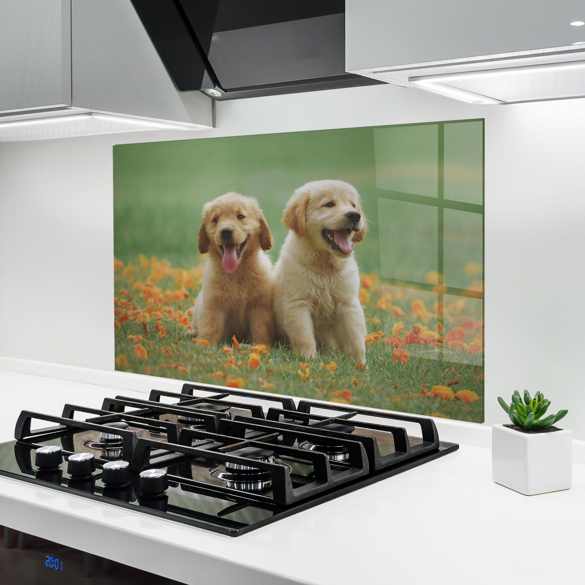 Стъклен панел за кухня Happy Dogs mockup 6