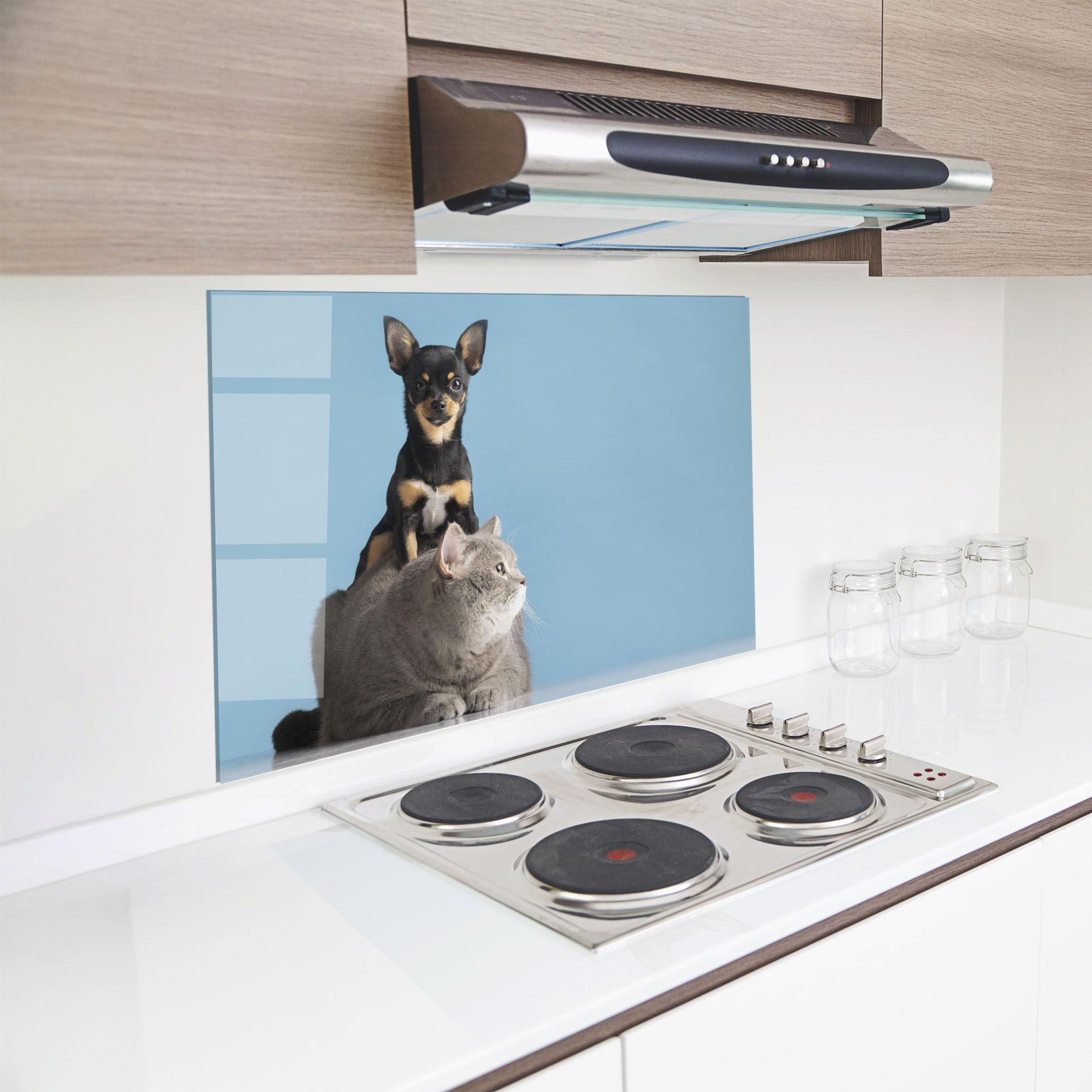 Dog Grey Cat mockup 8