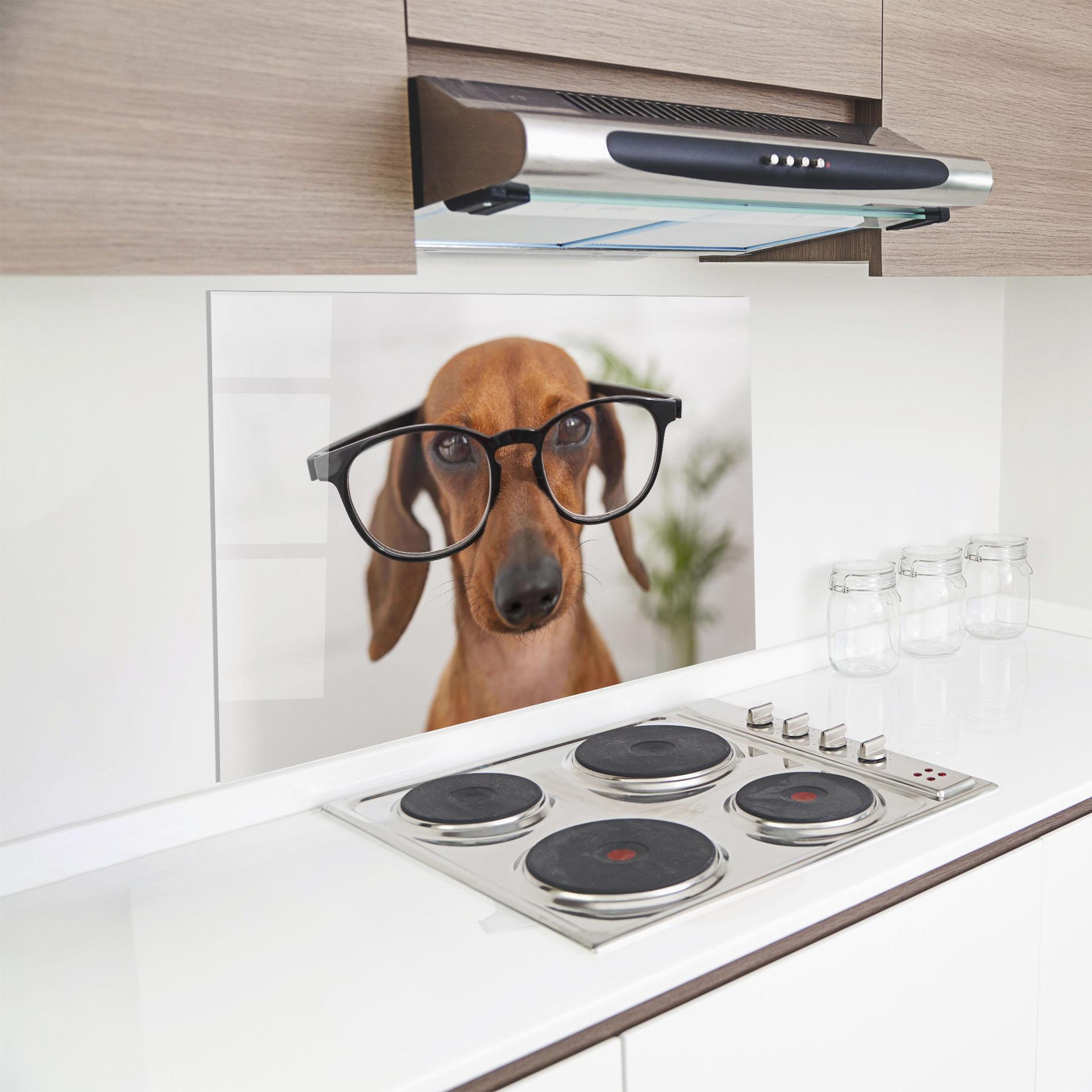Стъклен панел за кухня Dog Wearing Glasses mockup 8
