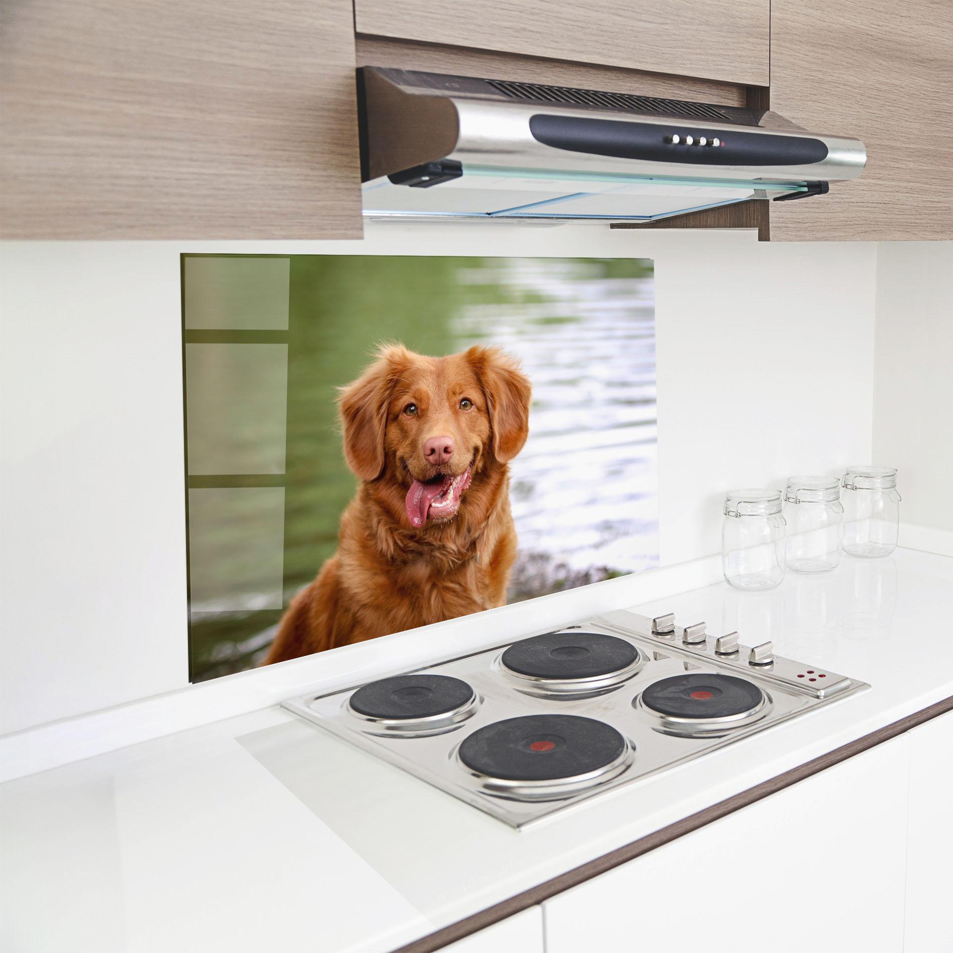 Стъклен панел за кухня Gren Water Dog mockup 8