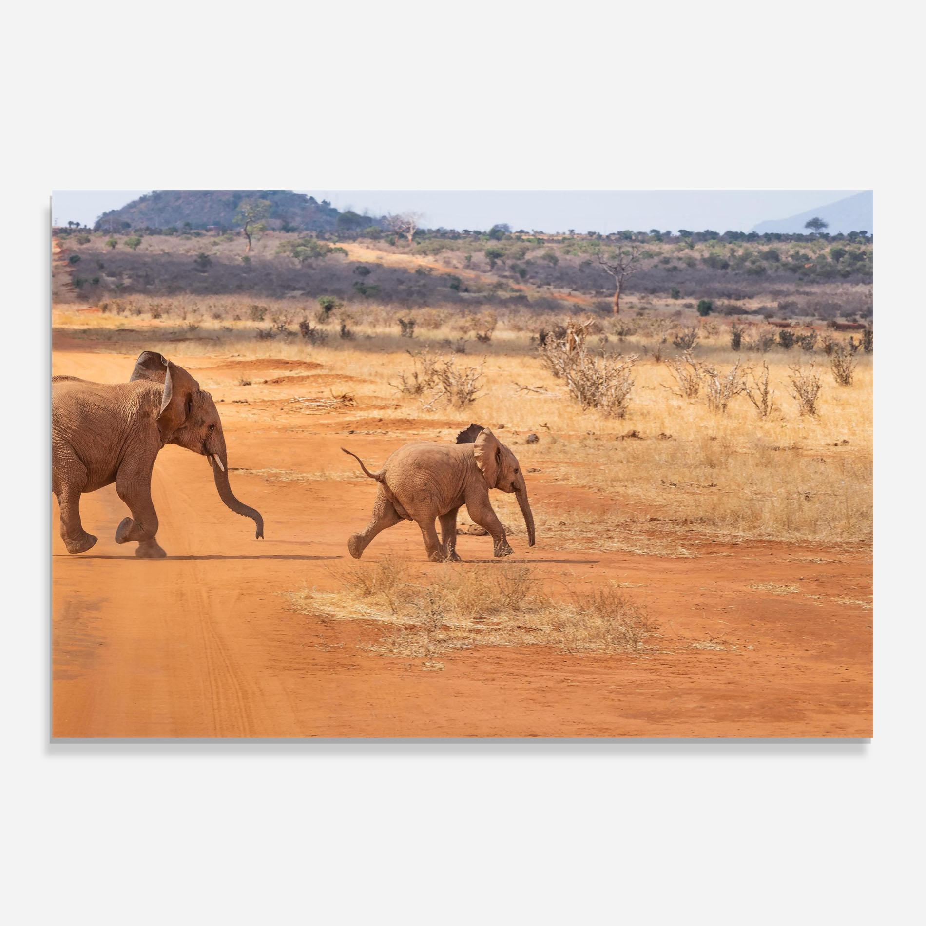 Стъклен панел за кухня Desert Safari mockup 0