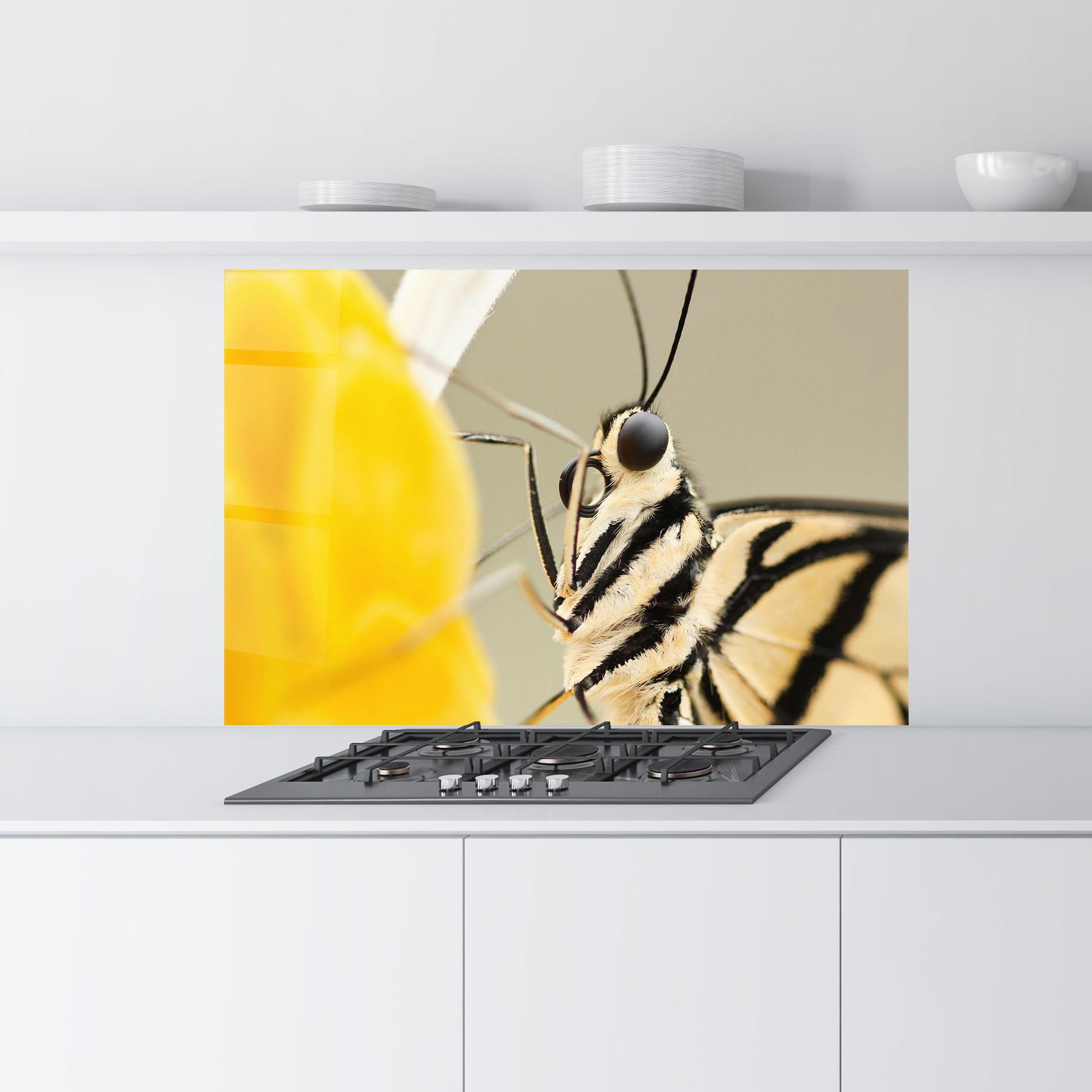 Стъклен панел за кухня Close Up Cream Butterfly mockup 9