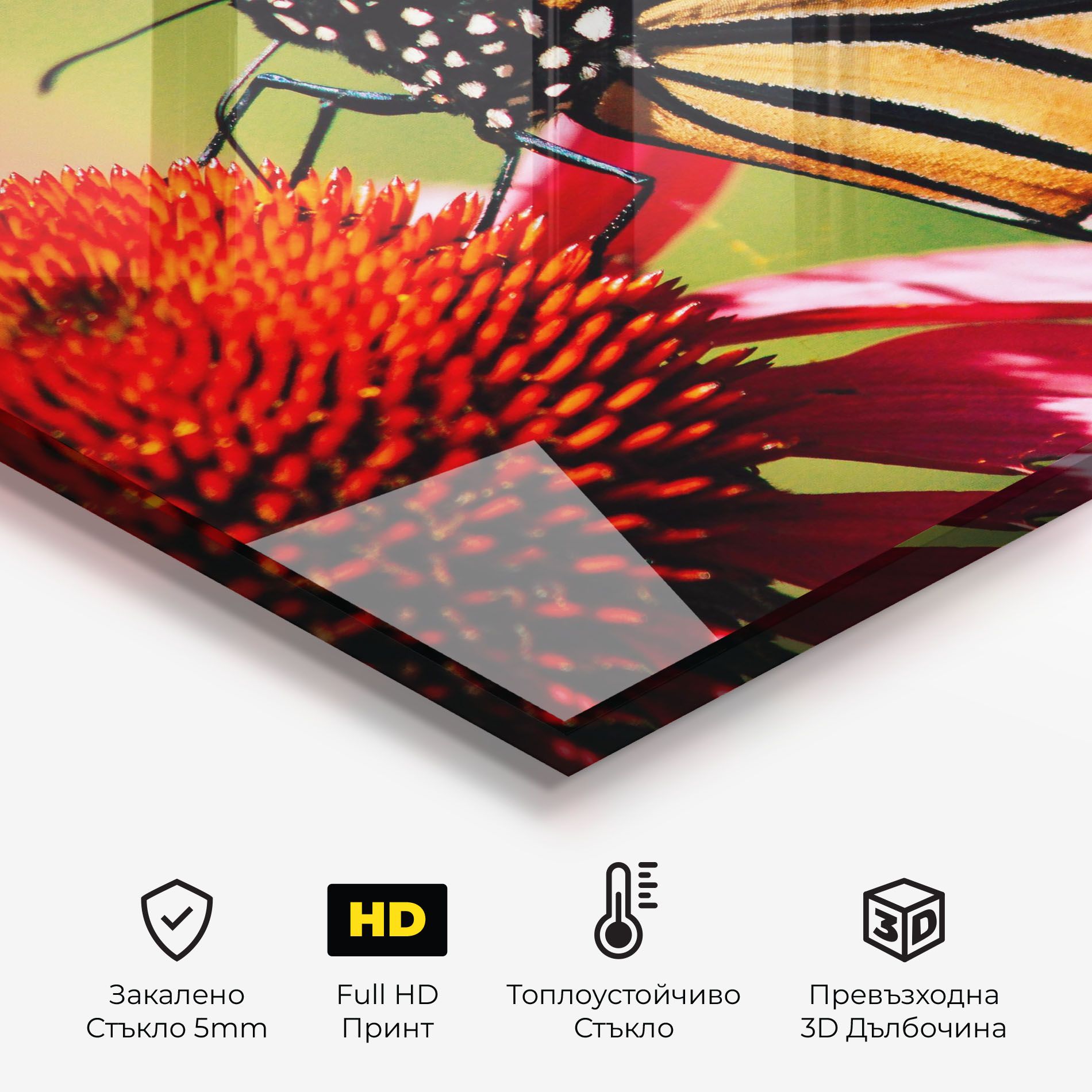 Big Orange Butterfly mockup 2