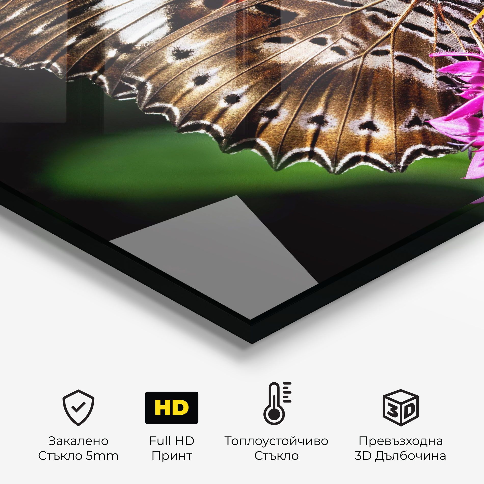 Brown Red Butterfly mockup 2