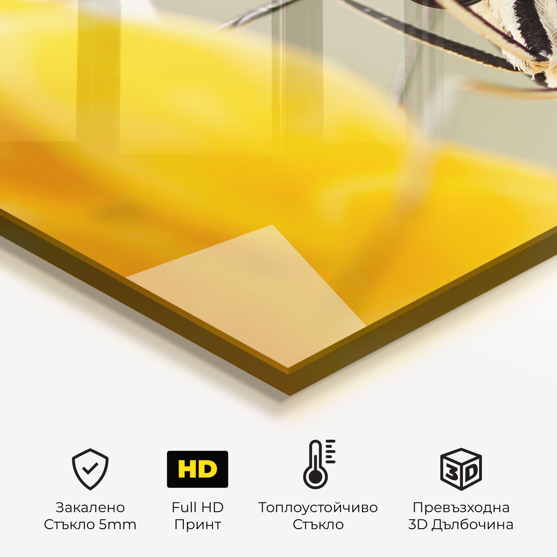 Close Up Cream Butterfly mockup 2