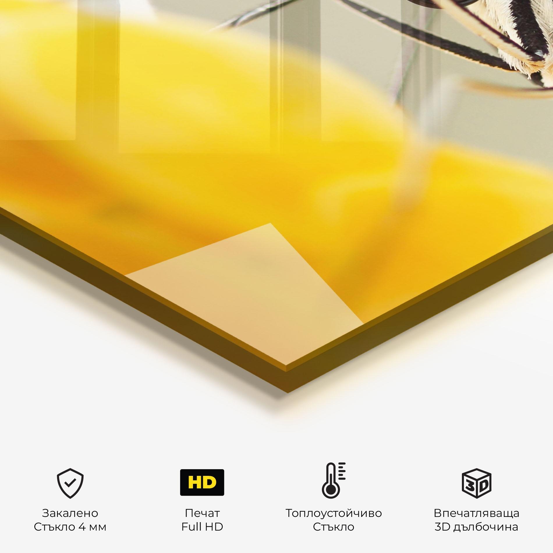 Стъклен панел за кухня Close Up Cream Butterfly mockup 2