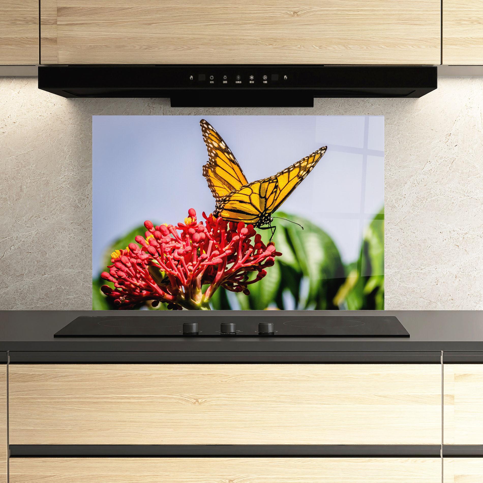 Стъклен панел за кухня Butterfly On Red Flower mockup 3