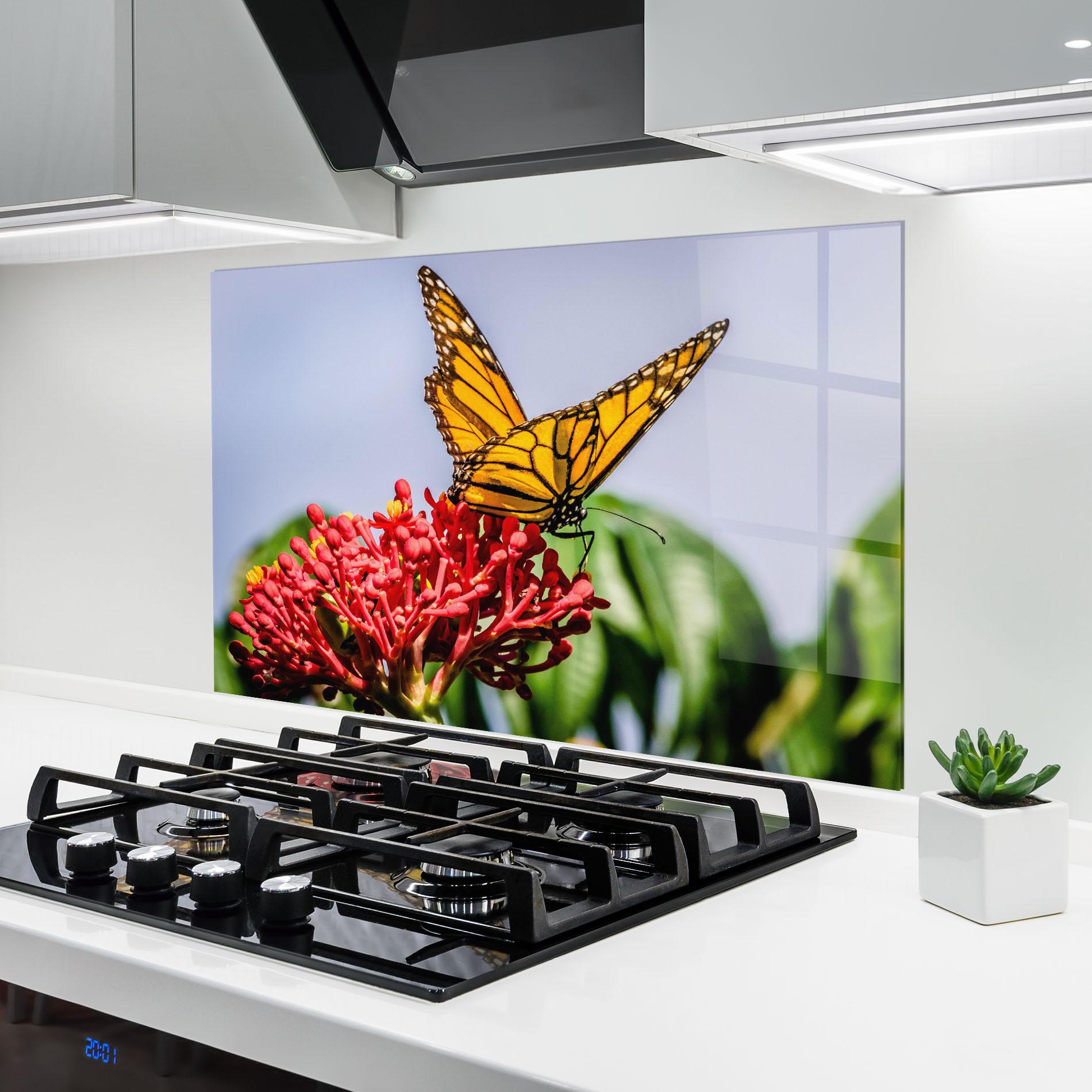 Стъклен панел за кухня Butterfly On Red Flower mockup 6