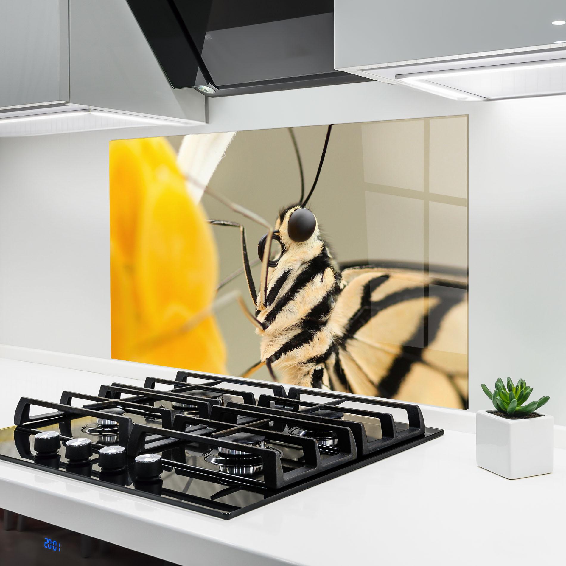 Стъклен панел за кухня Close Up Cream Butterfly mockup 6