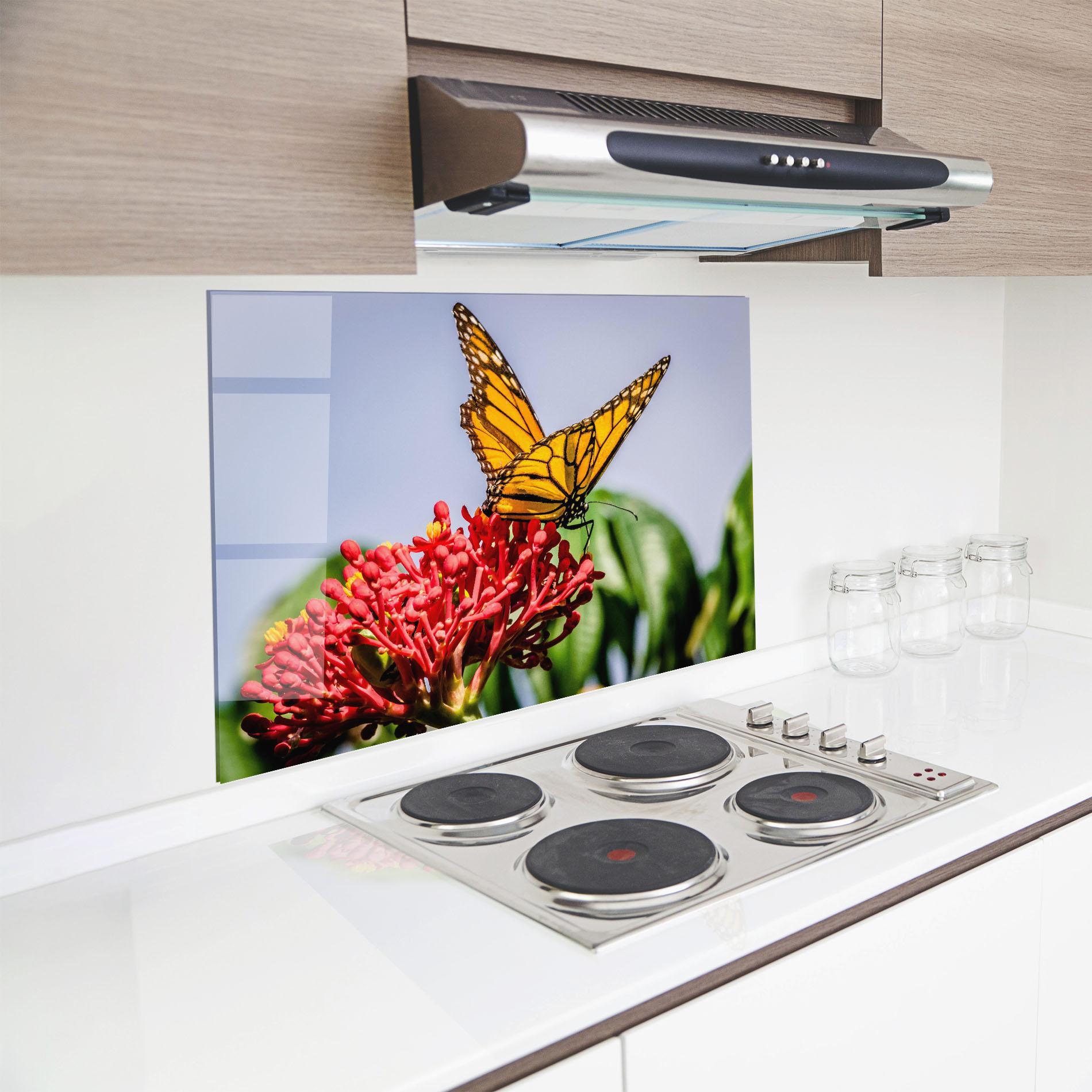 Стъклен панел за кухня Butterfly On Red Flower mockup 8