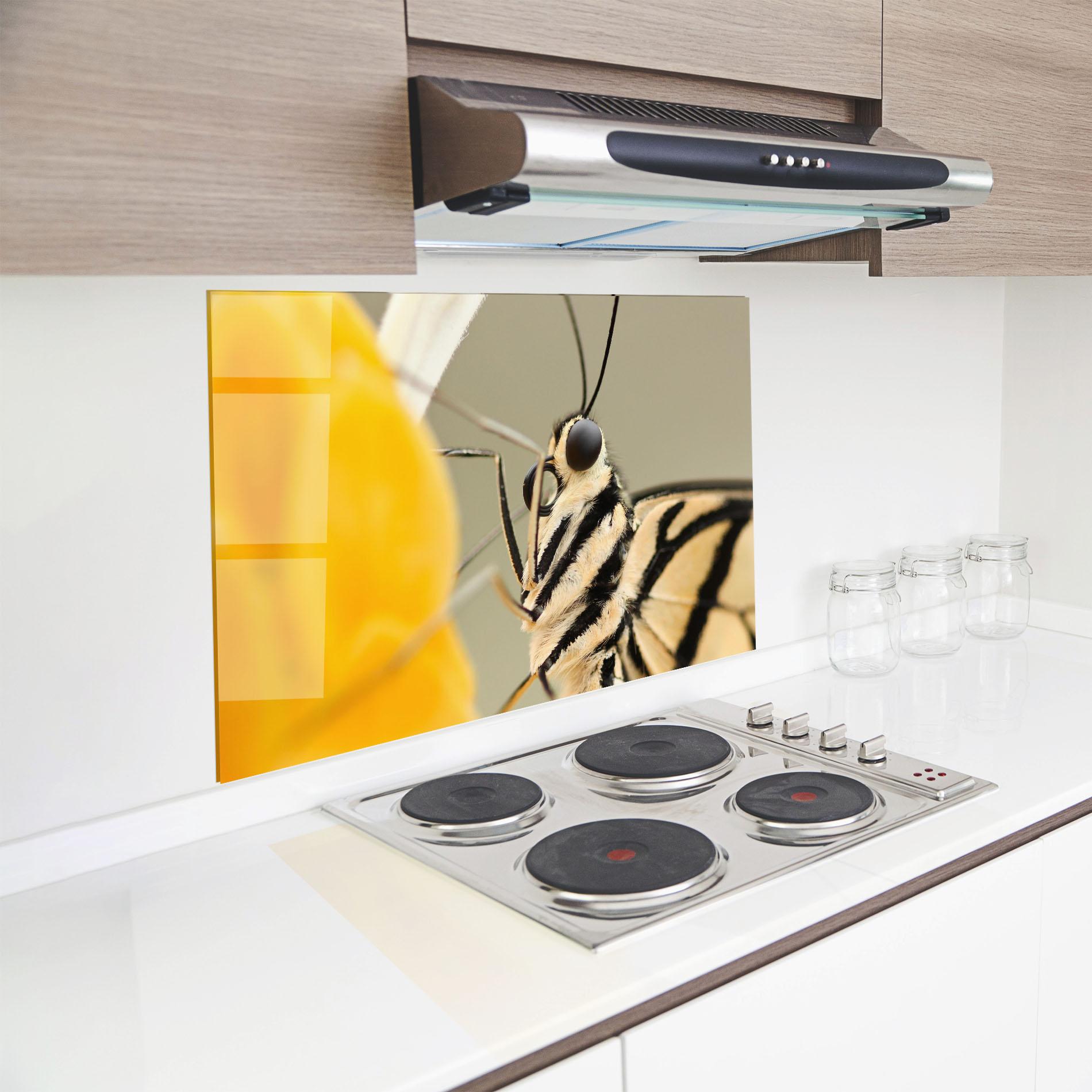Стъклен панел за кухня Close Up Cream Butterfly mockup 8