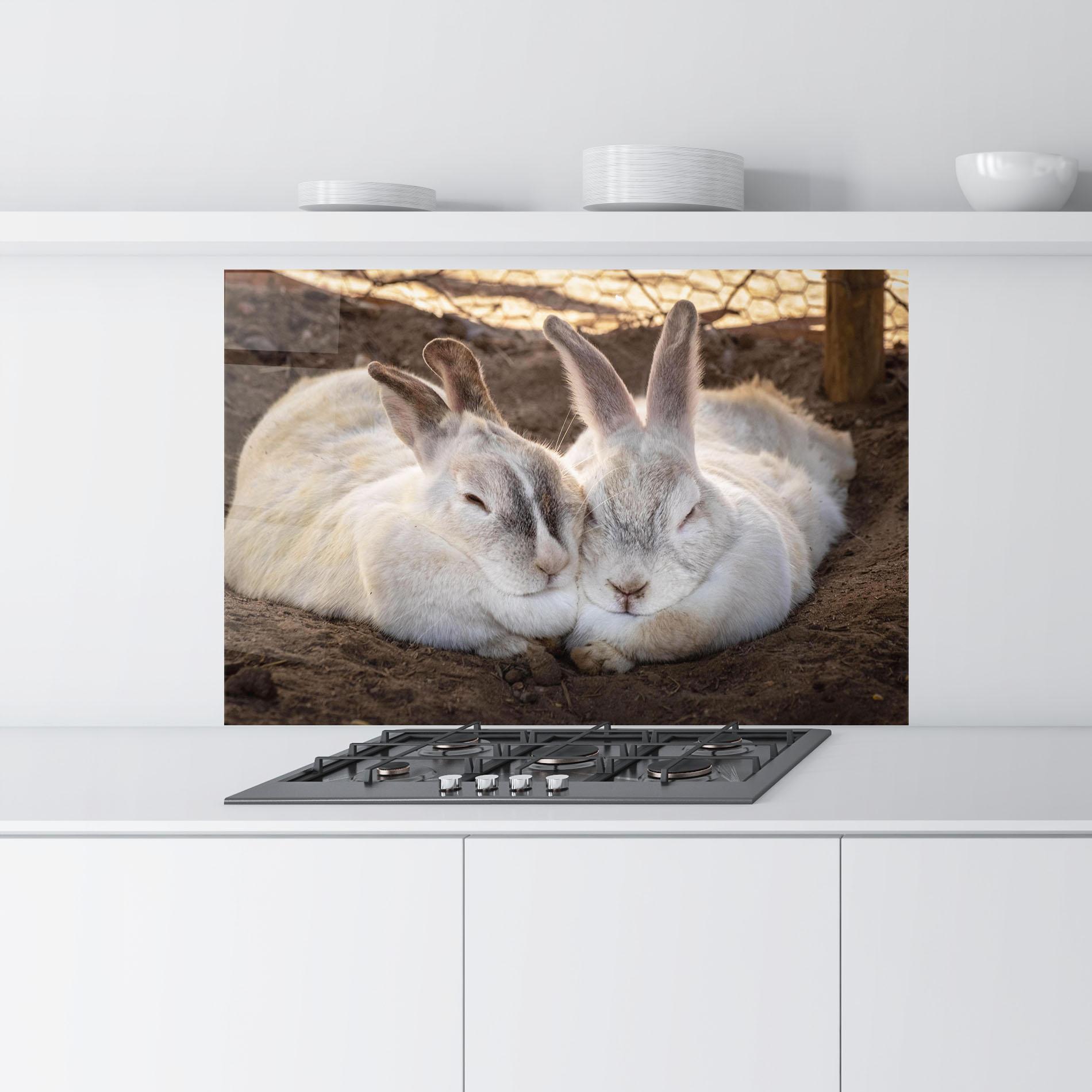 Стъклен панел за кухня Light Grey Bunny Sleeping mockup 9
