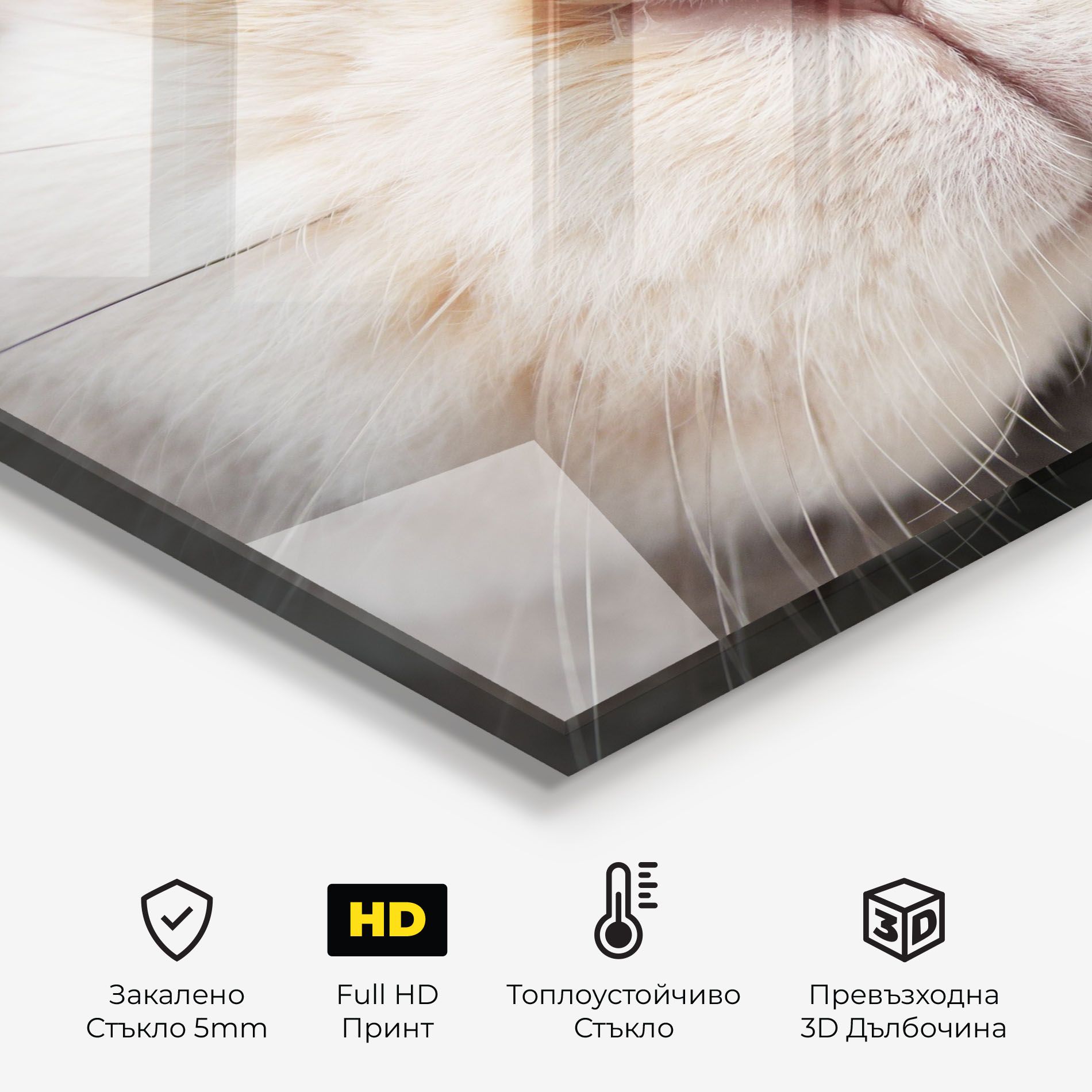 Close Up Bunny mockup 2