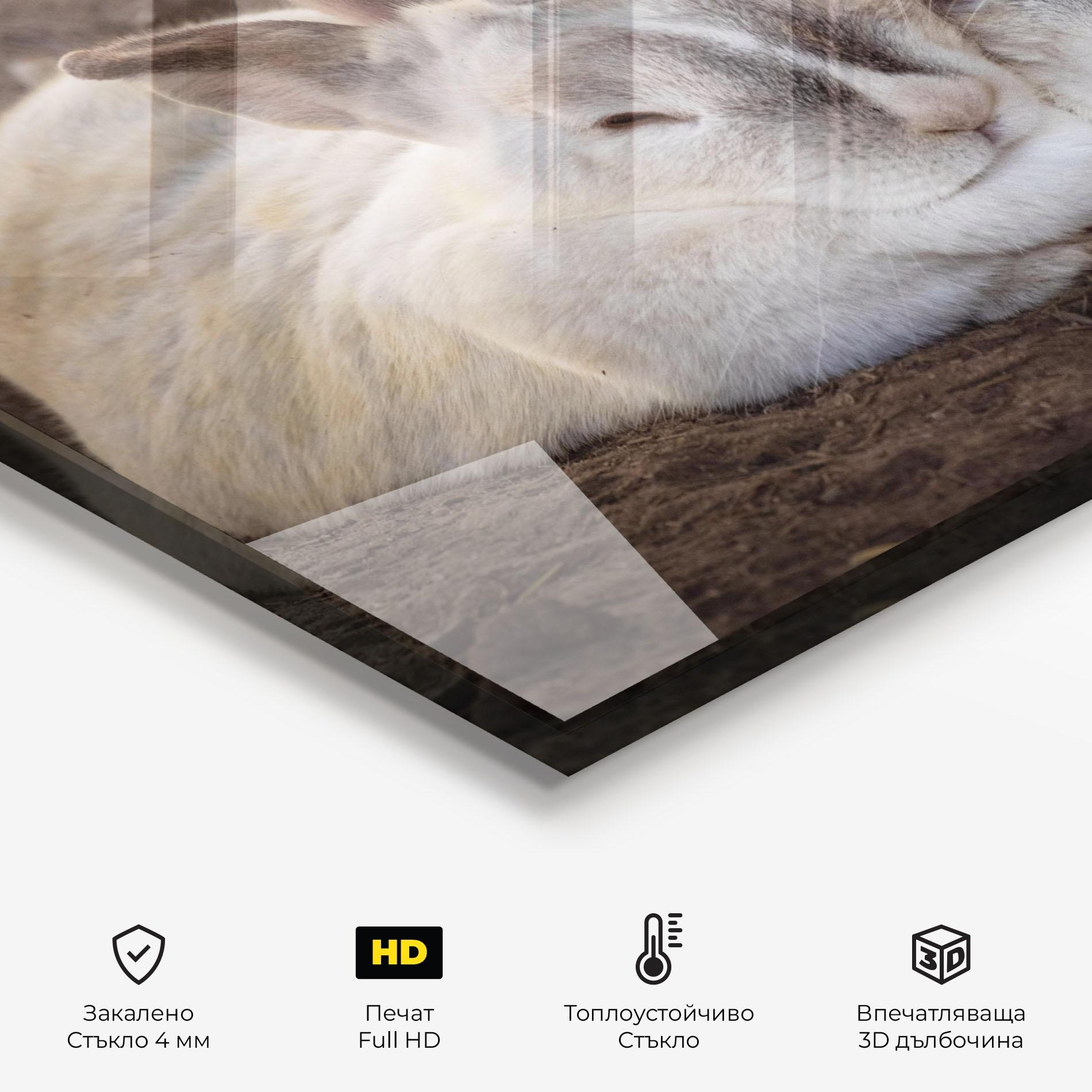 Стъклен панел за кухня Light Grey Bunny Sleeping mockup 2