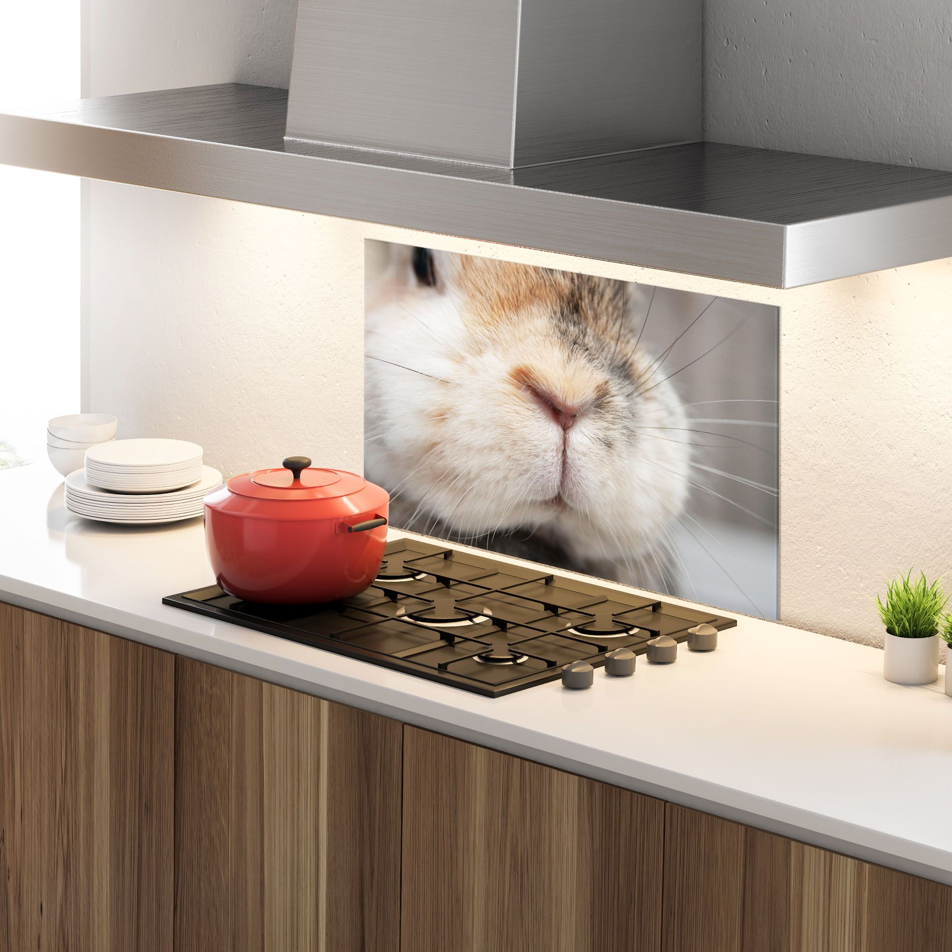 Close Up Bunny mockup 4