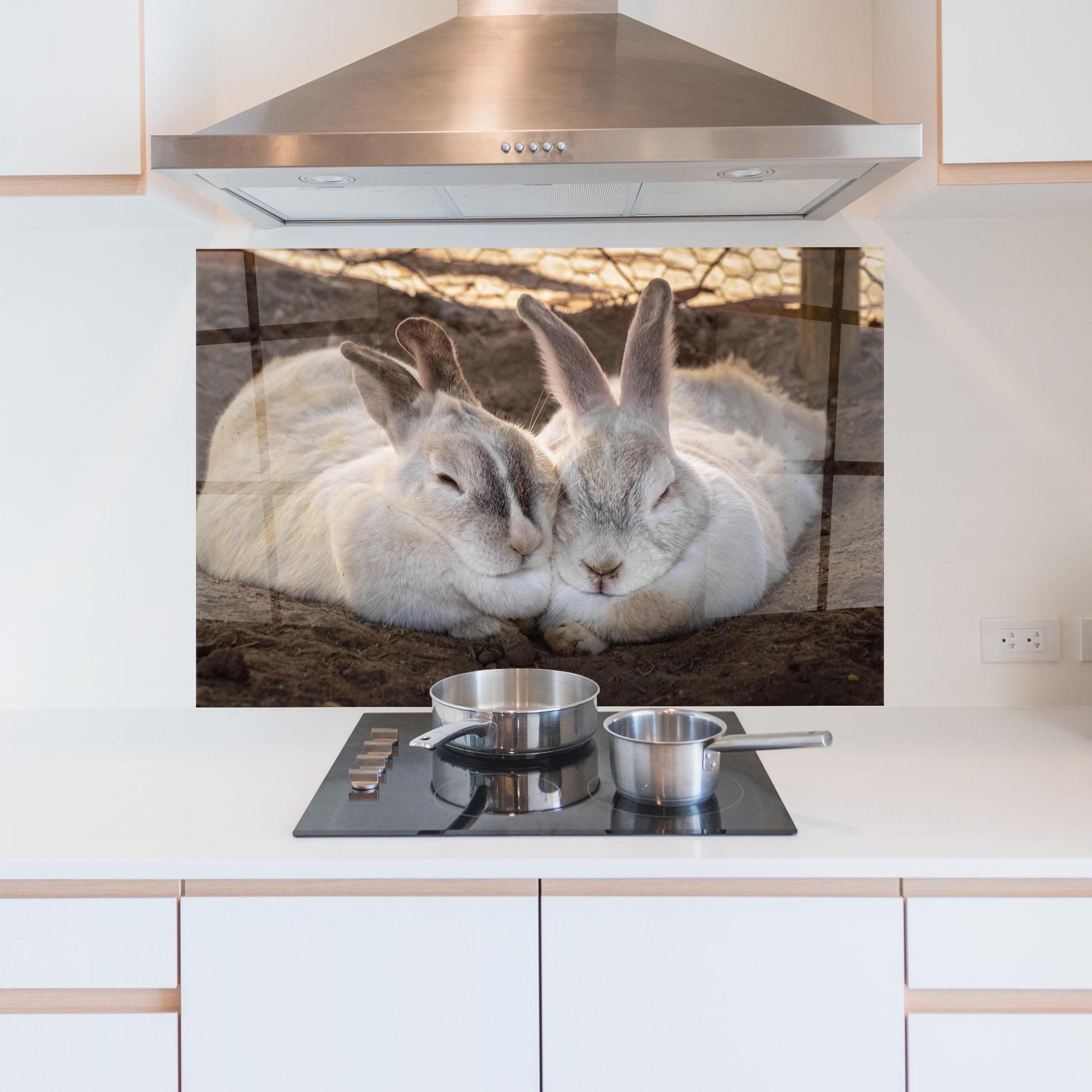 Стъклен панел за кухня Light Grey Bunny Sleeping mockup 5