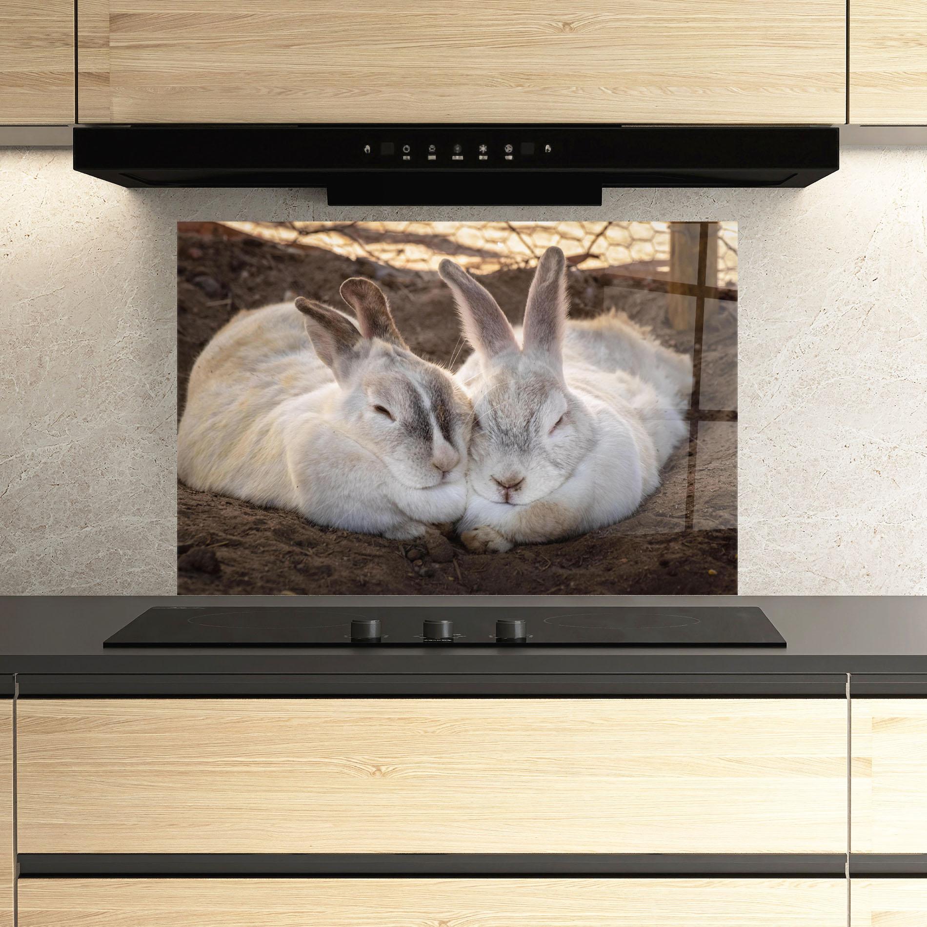Стъклен панел за кухня Light Grey Bunny Sleeping mockup 3