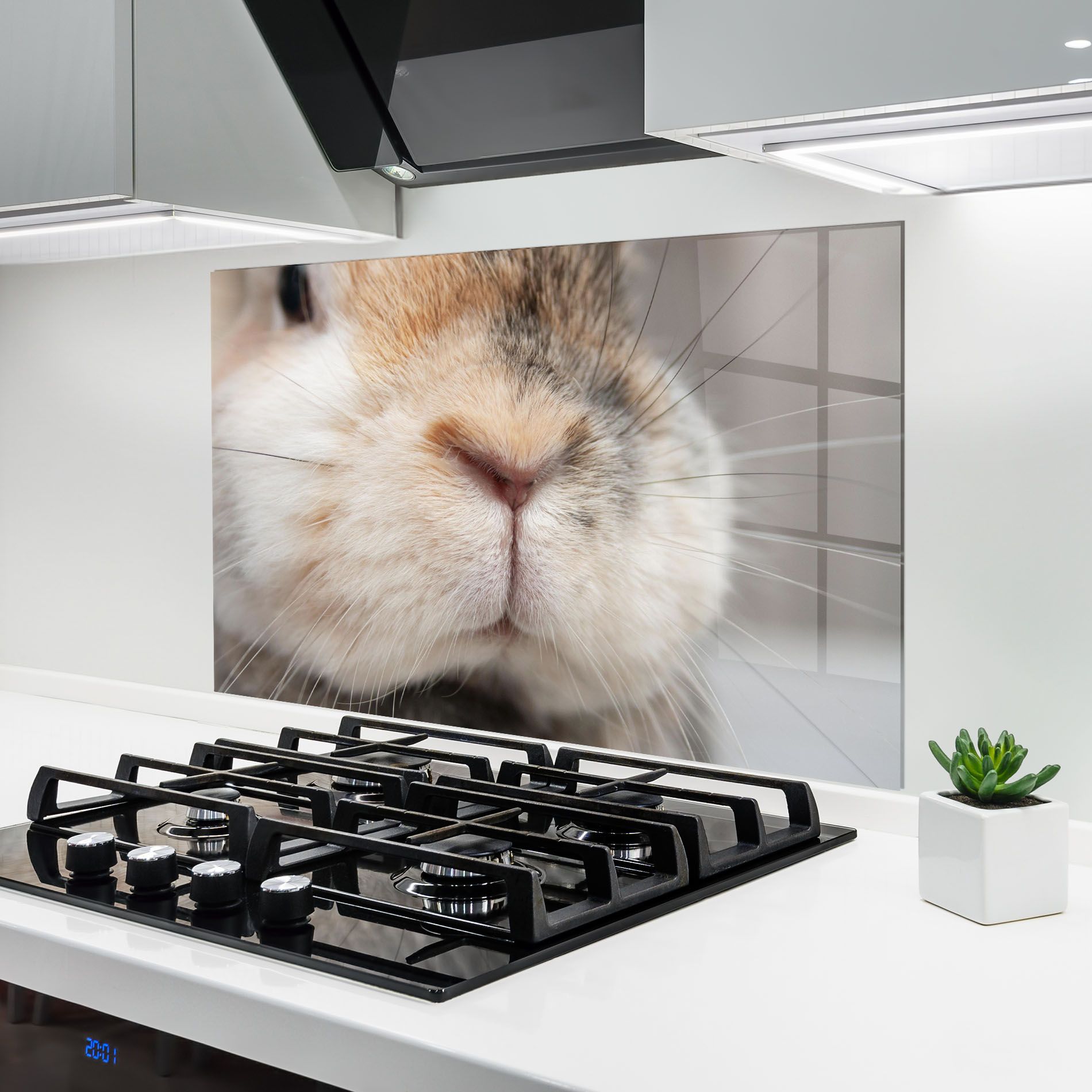 Close Up Bunny mockup 6