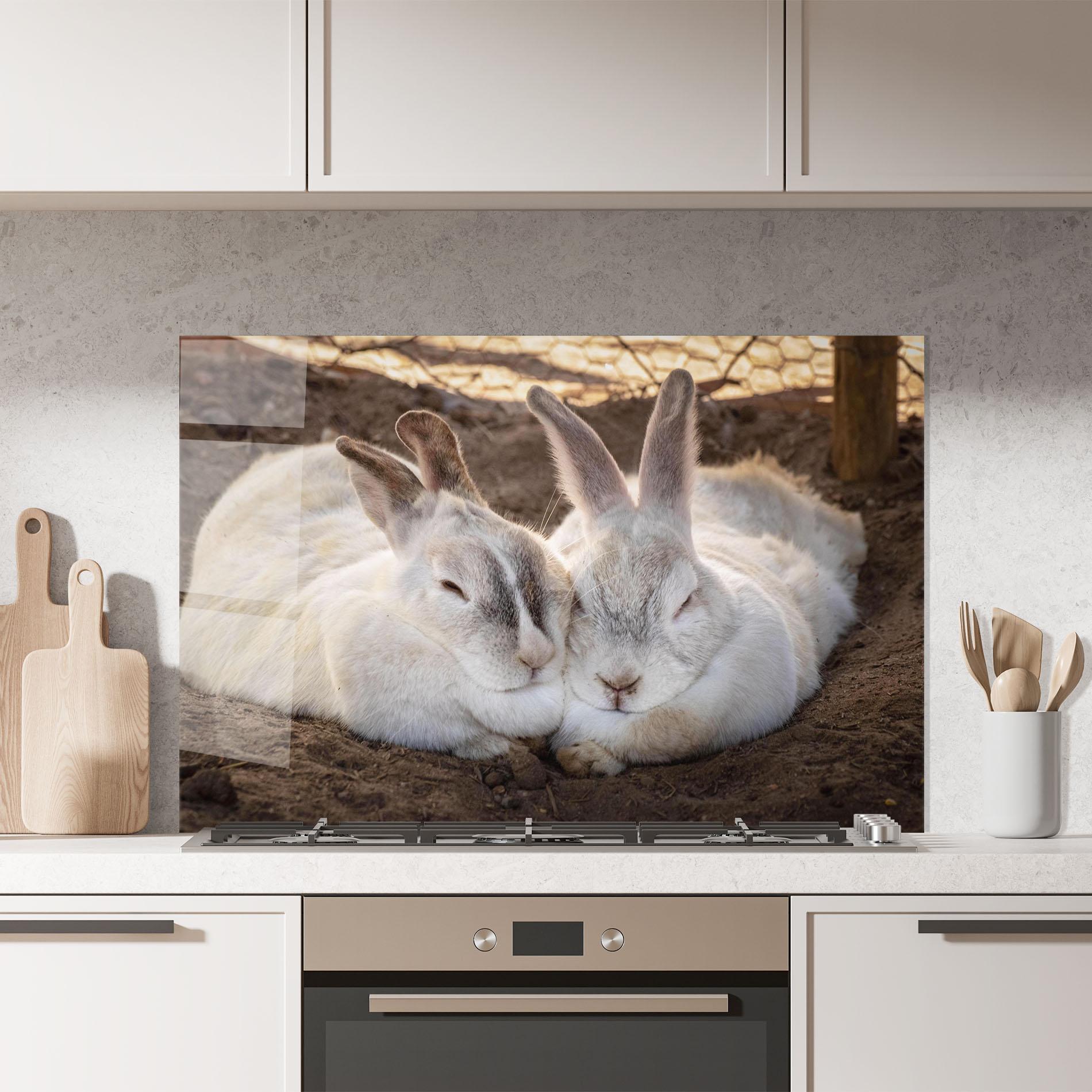Стъклен панел за кухня Light Grey Bunny Sleeping mockup 7