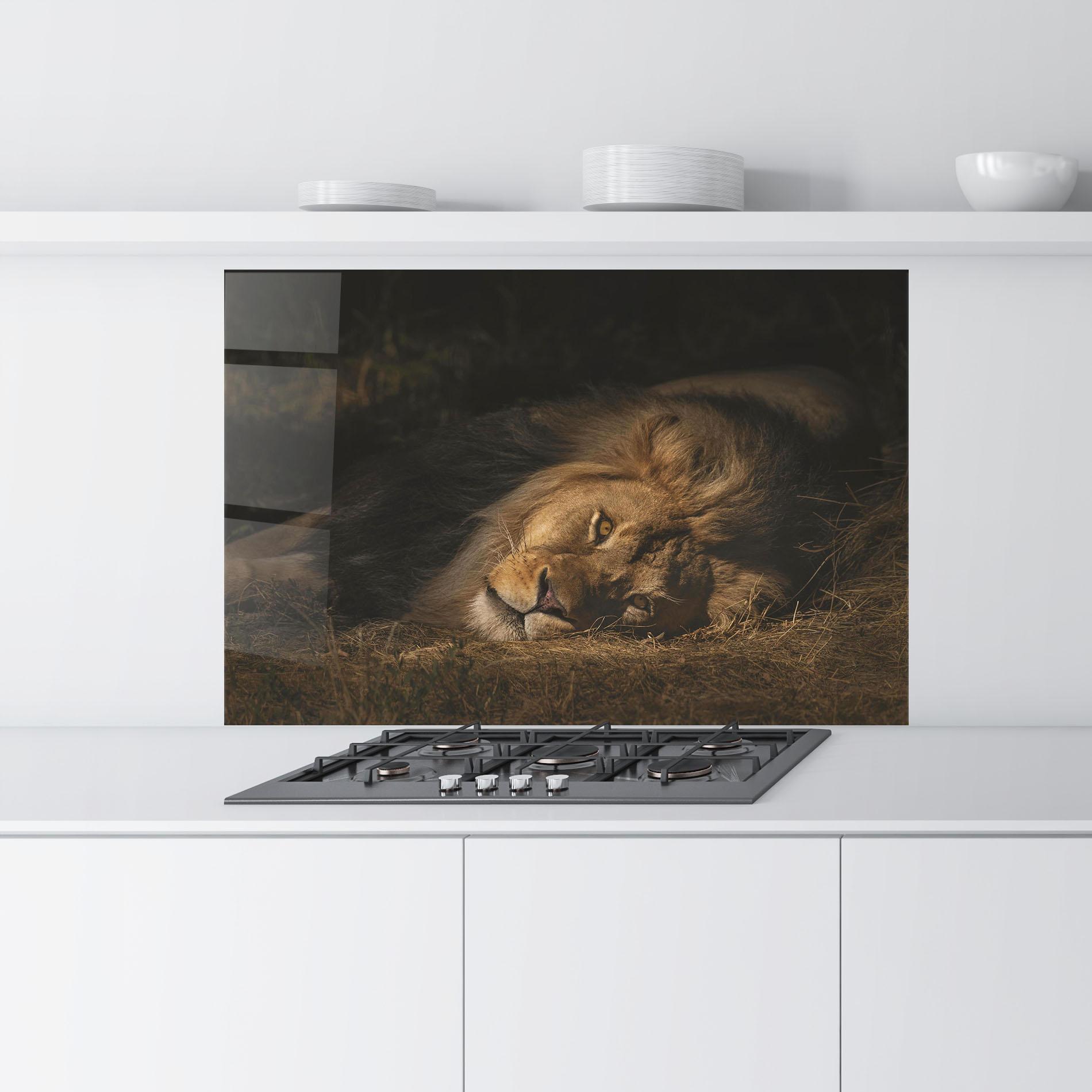 Стъклен панел за кухня Lion Laying Down mockup 9