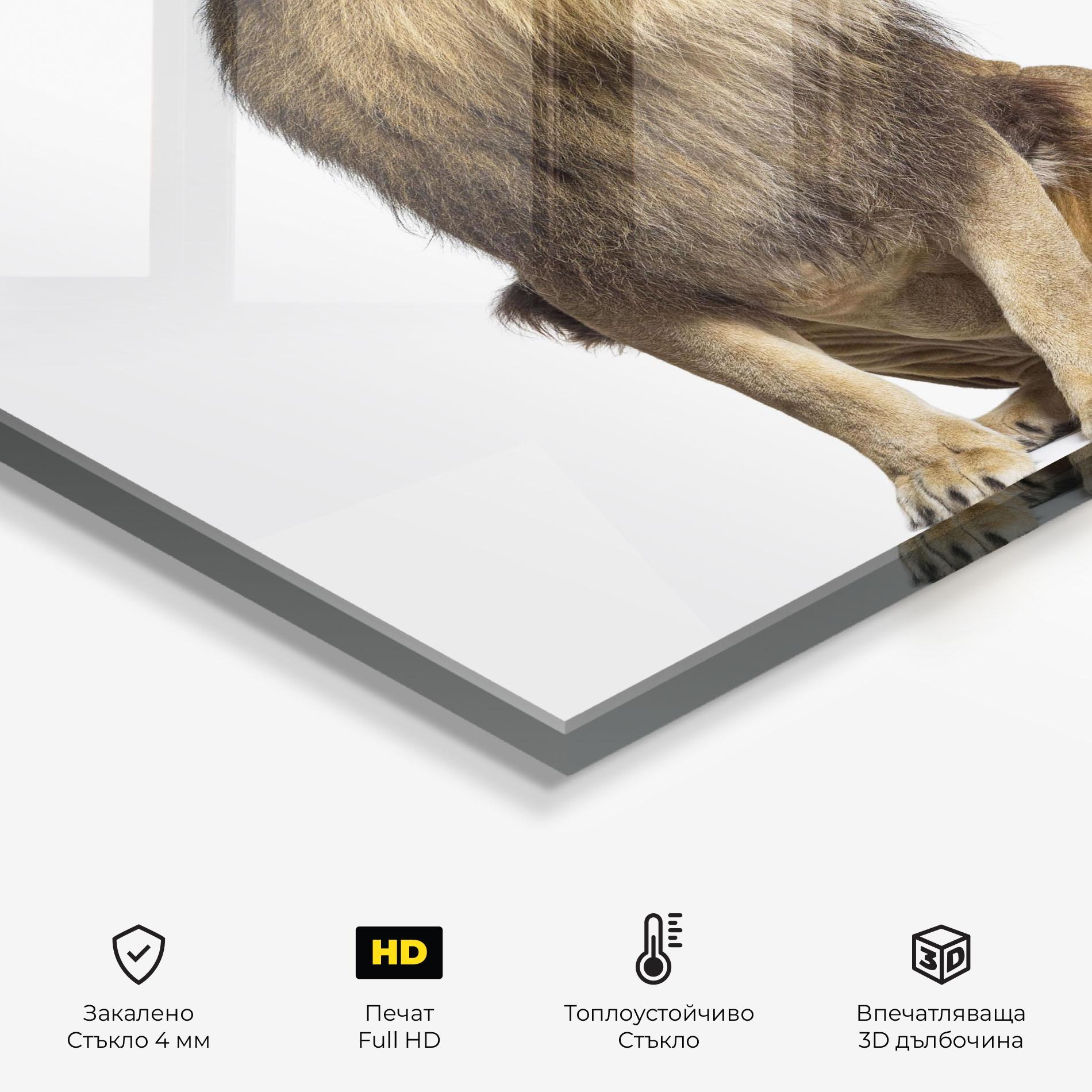 Стъклен панел за кухня Big Lion mockup 2