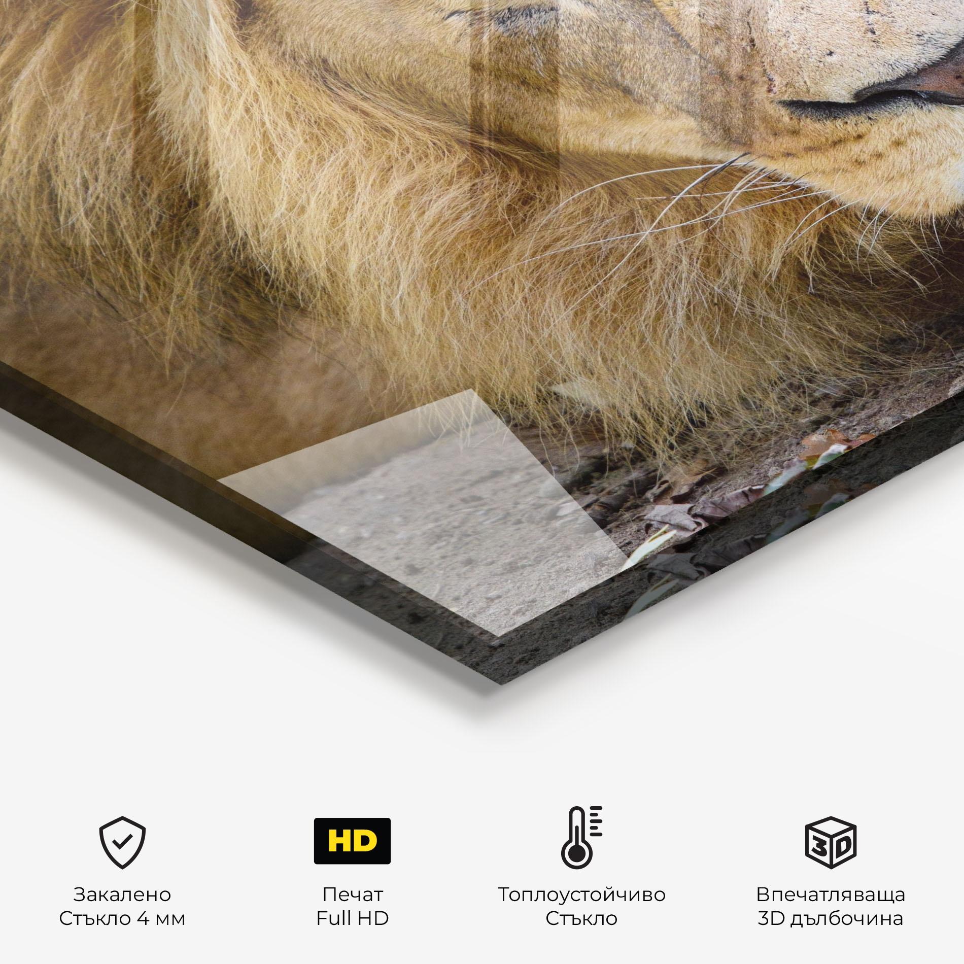 Стъклен панел за кухня Lion Looking mockup 2