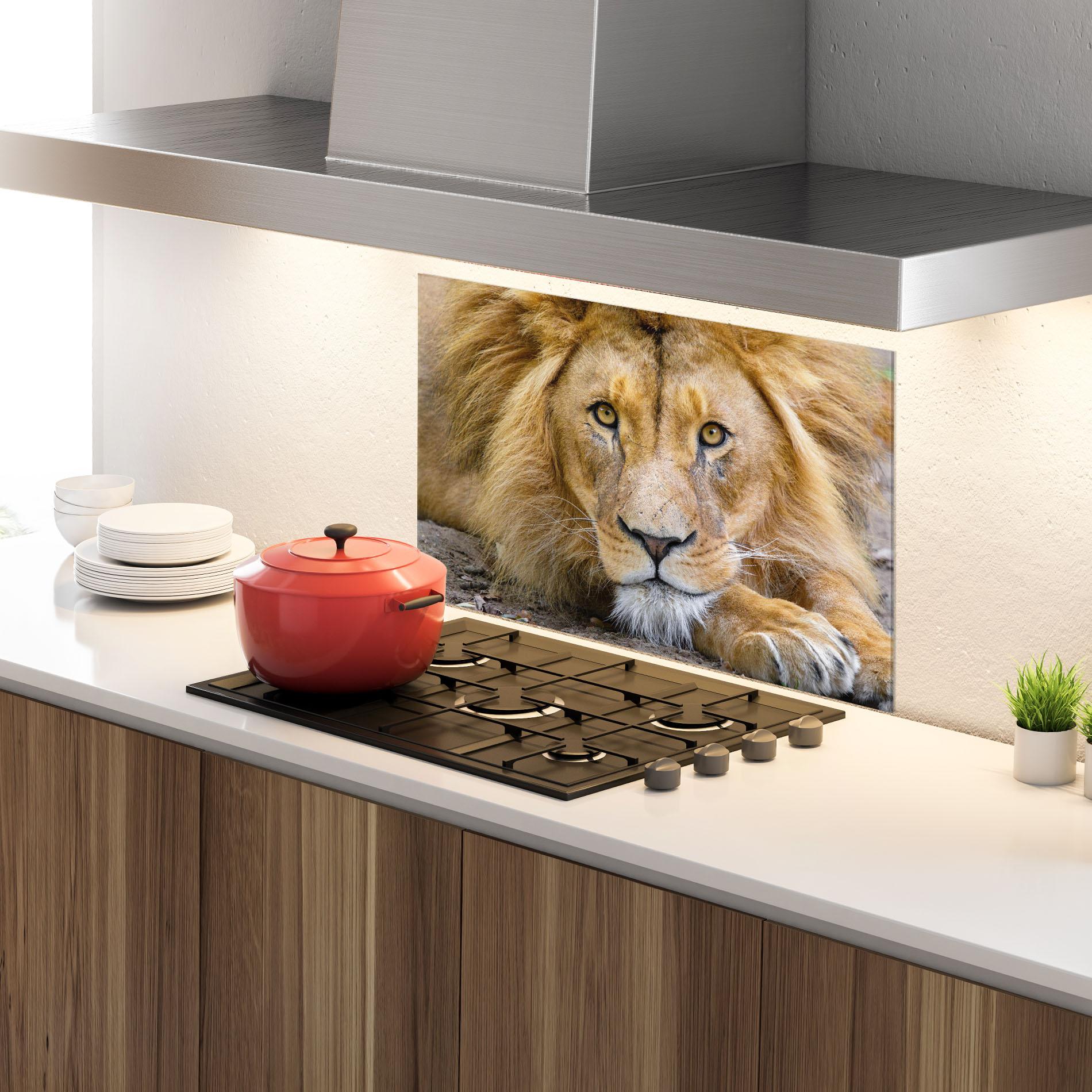 Стъклен панел за кухня Lion Looking mockup 4