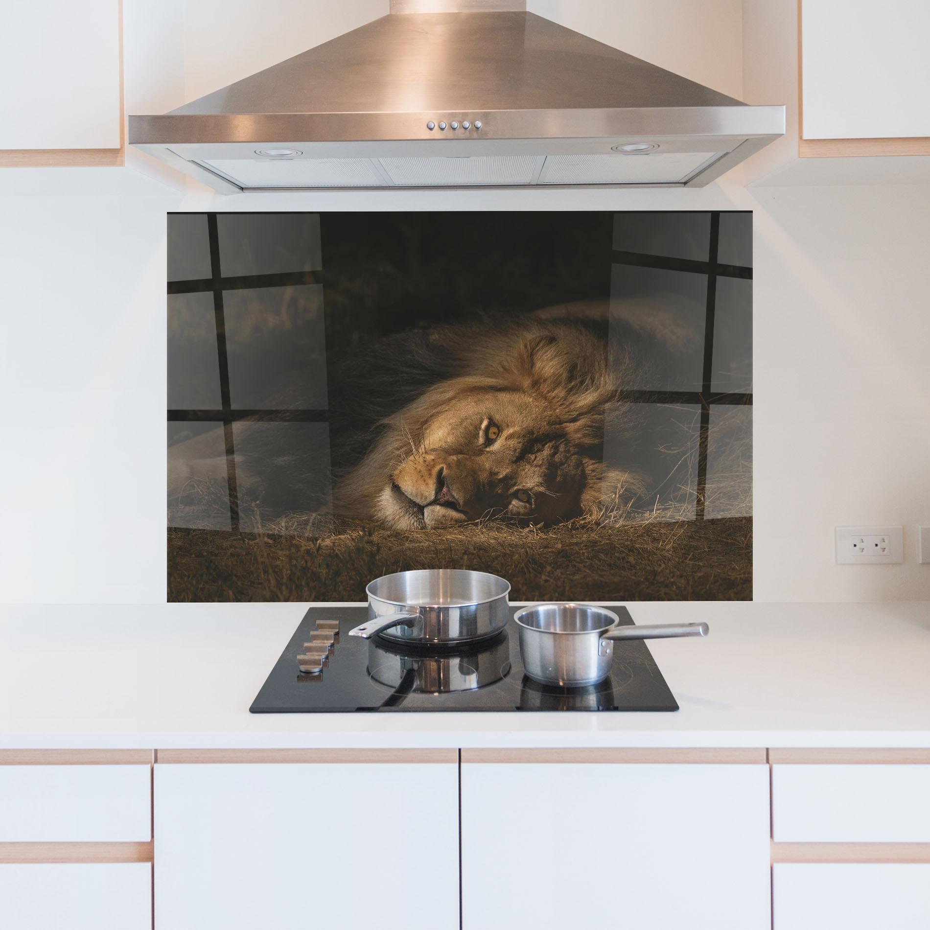 Стъклен панел за кухня Lion Laying Down mockup 5