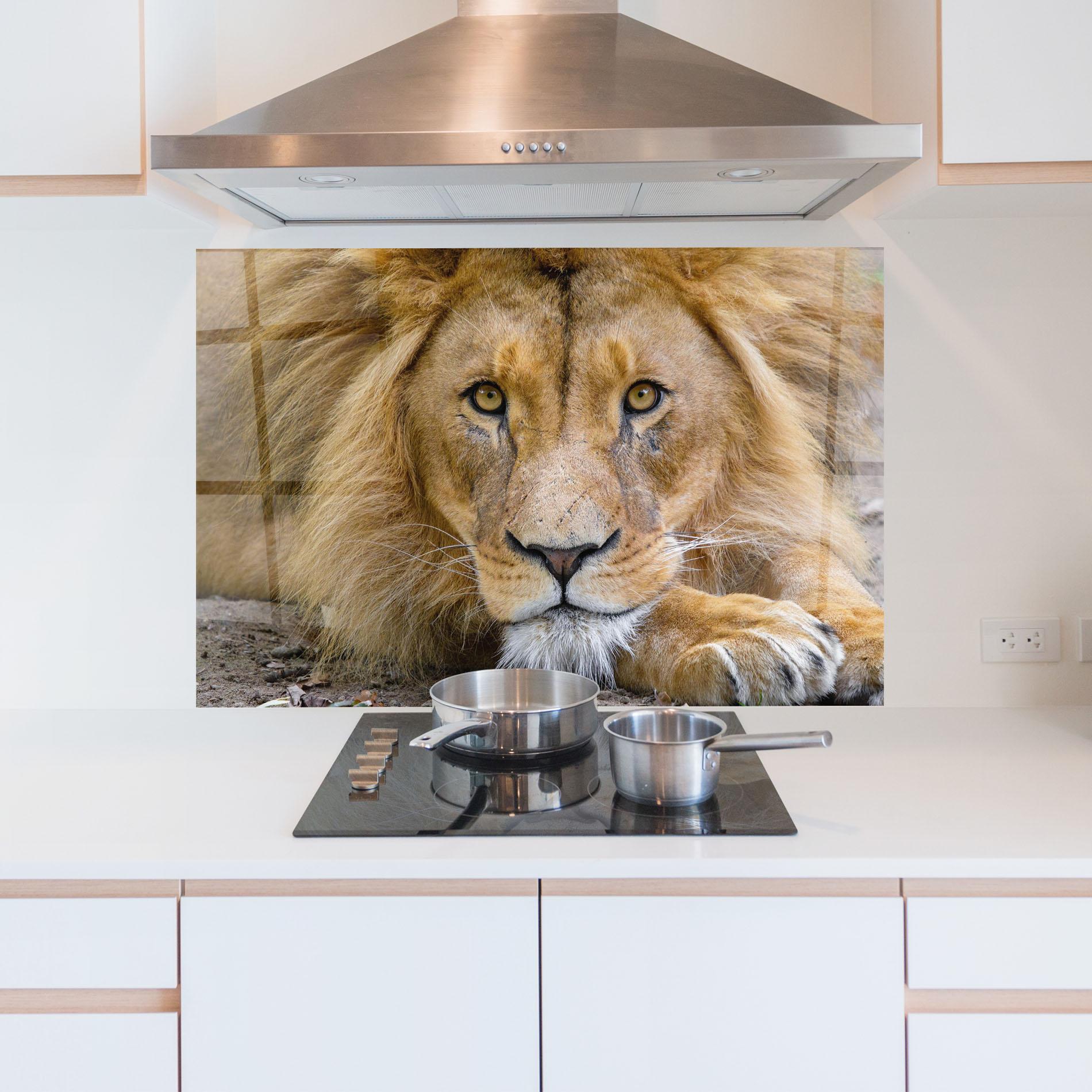 Стъклен панел за кухня Lion Looking mockup 5