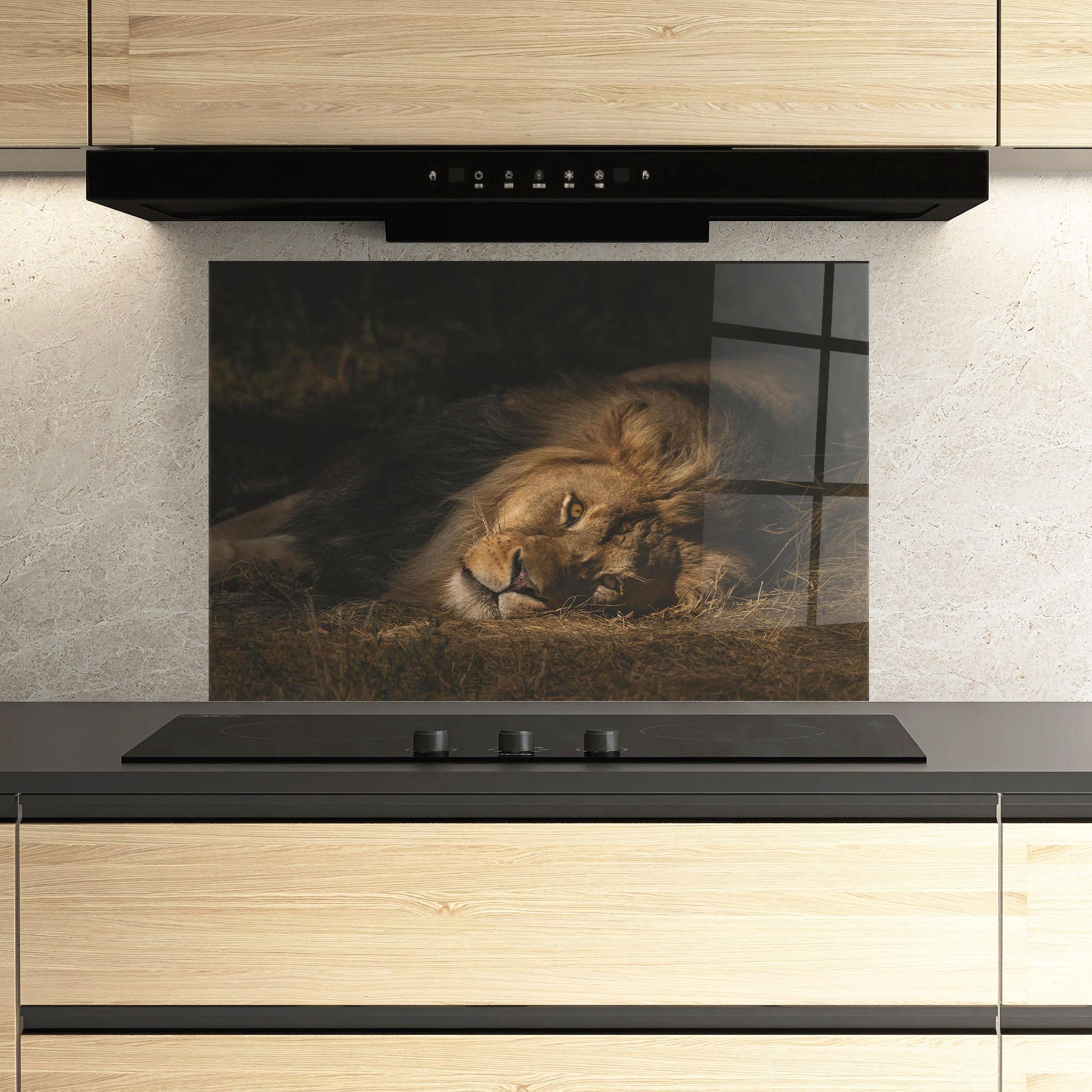 Стъклен панел за кухня Lion Laying Down mockup 3