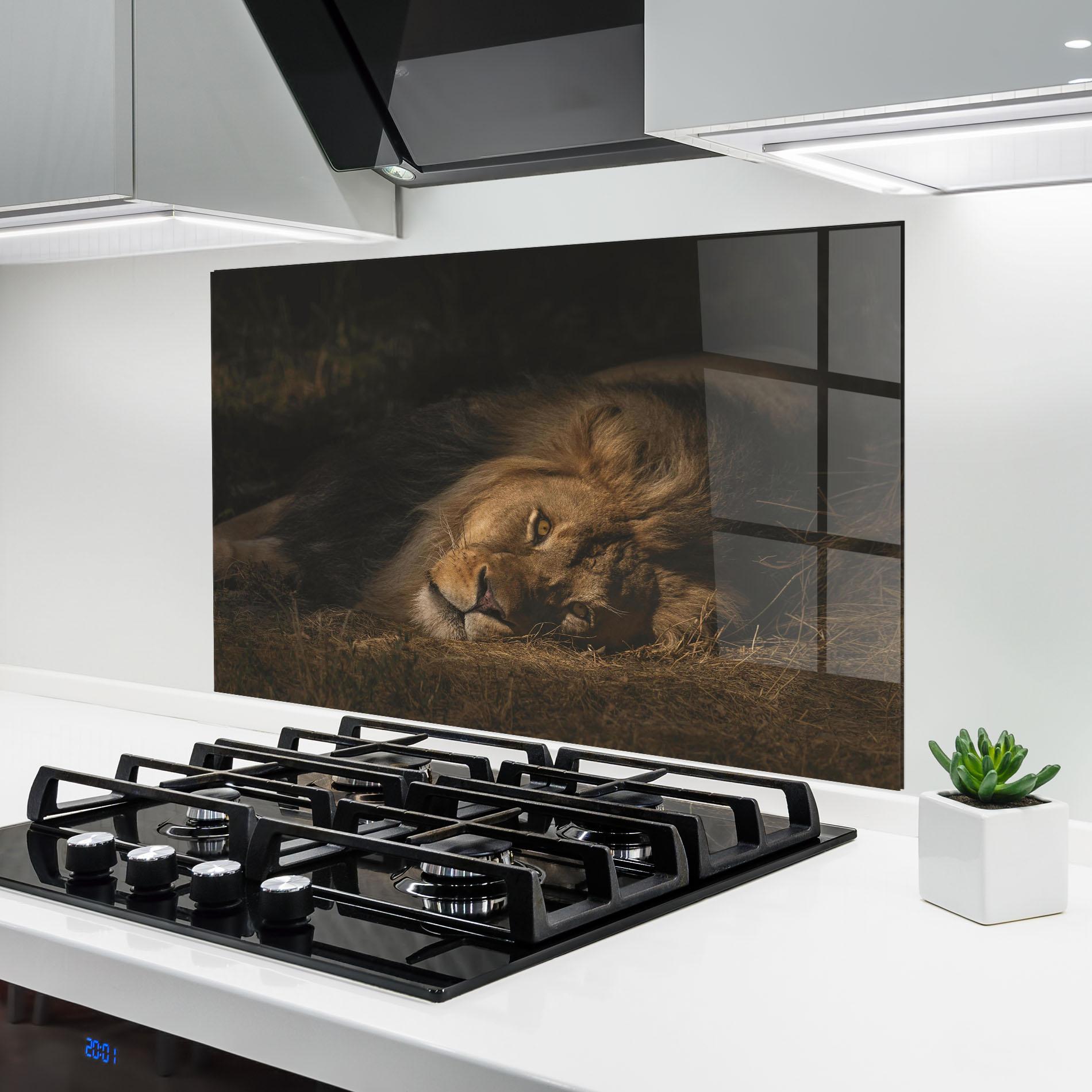 Стъклен панел за кухня Lion Laying Down mockup 6