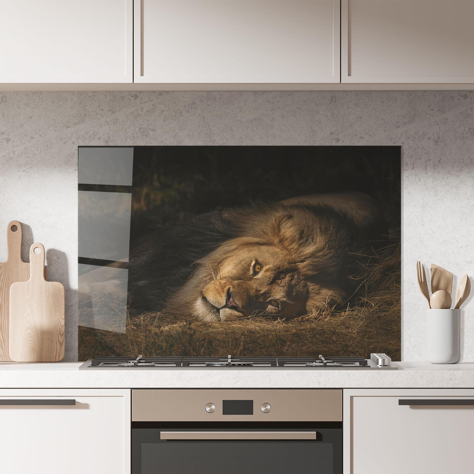 Стъклен панел за кухня Lion Laying Down mockup 7