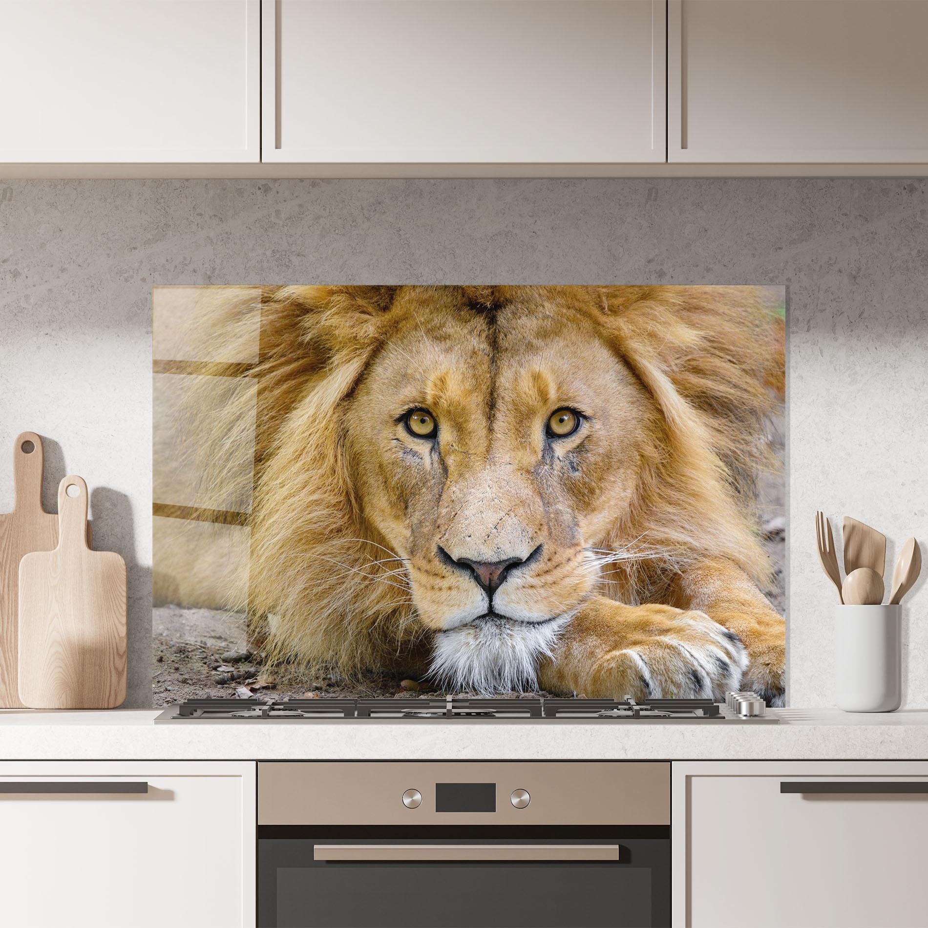 Стъклен панел за кухня Lion Looking mockup 7
