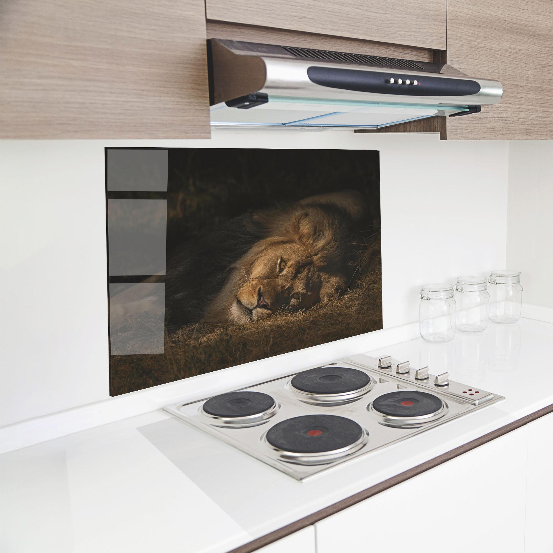 Стъклен панел за кухня Lion Laying Down mockup 8