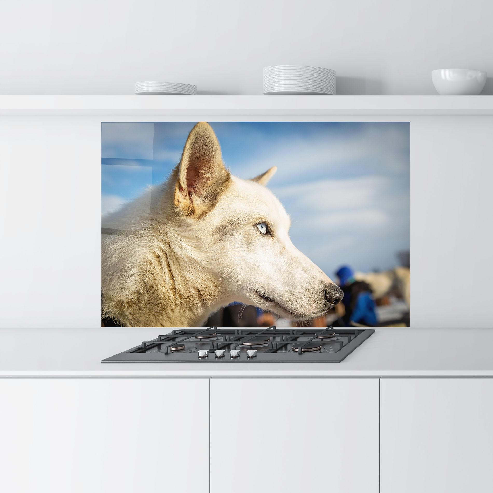 Стъклен панел за кухня White Wolf Looking mockup 9