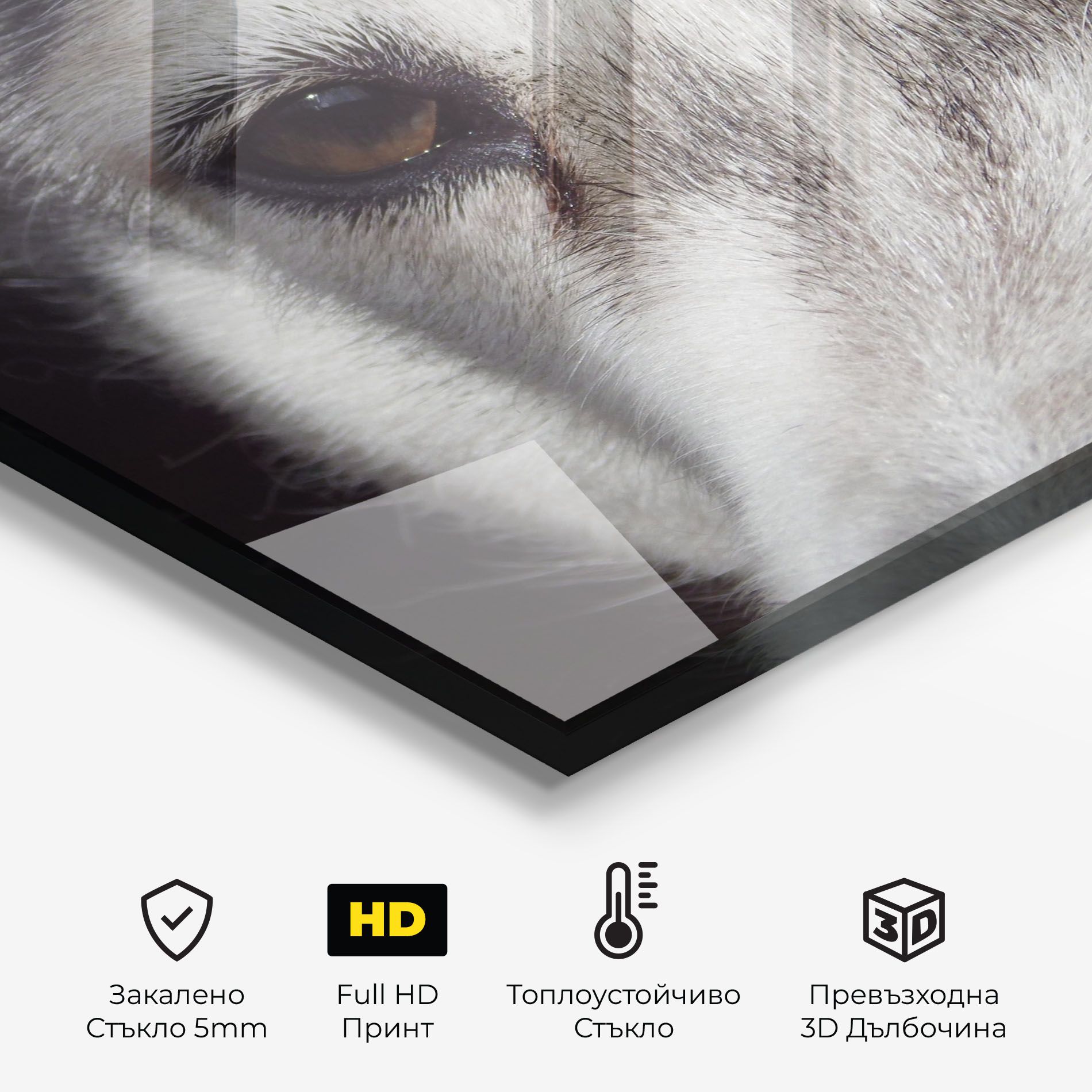 Close Up Wolf mockup 2
