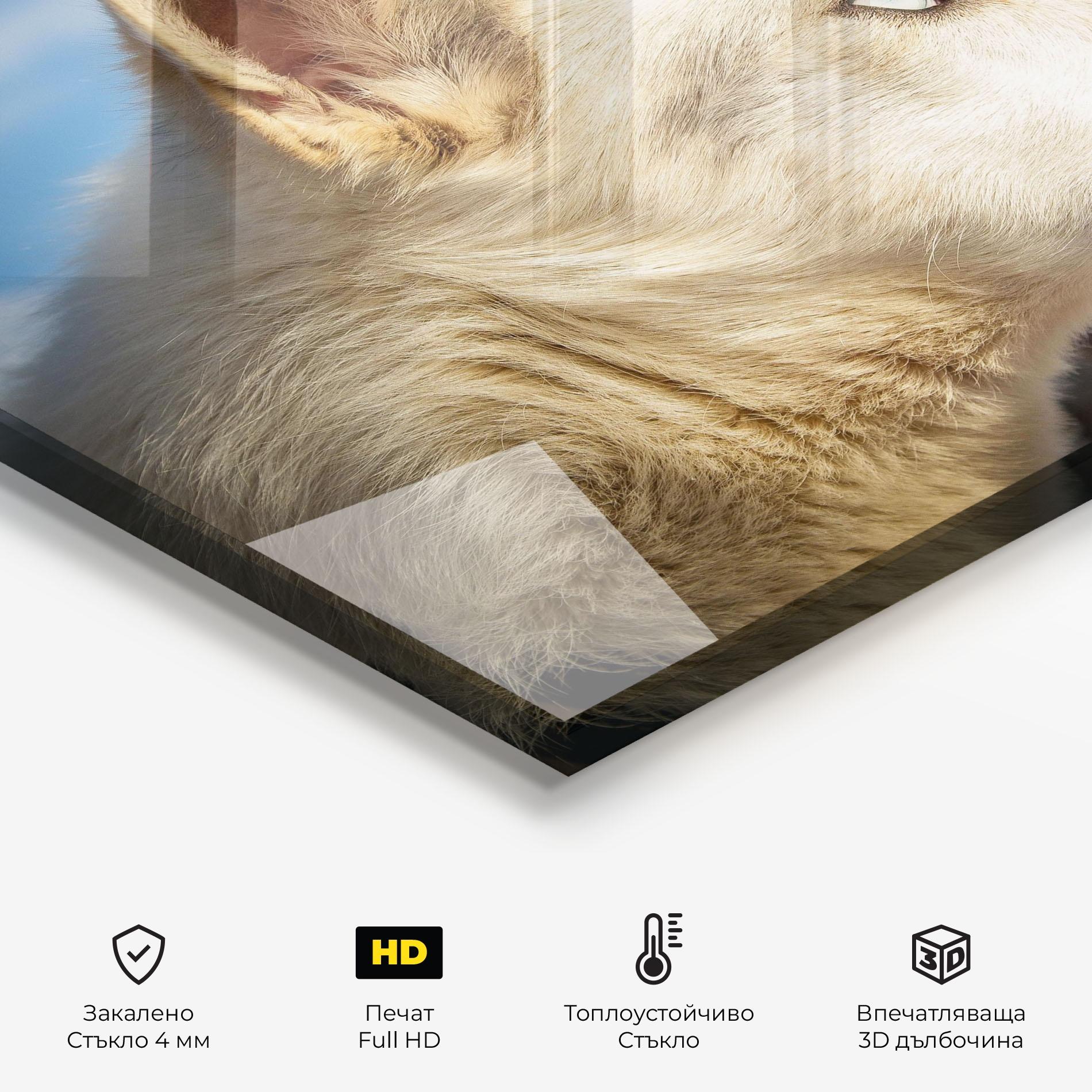 Стъклен панел за кухня White Wolf Looking mockup 2