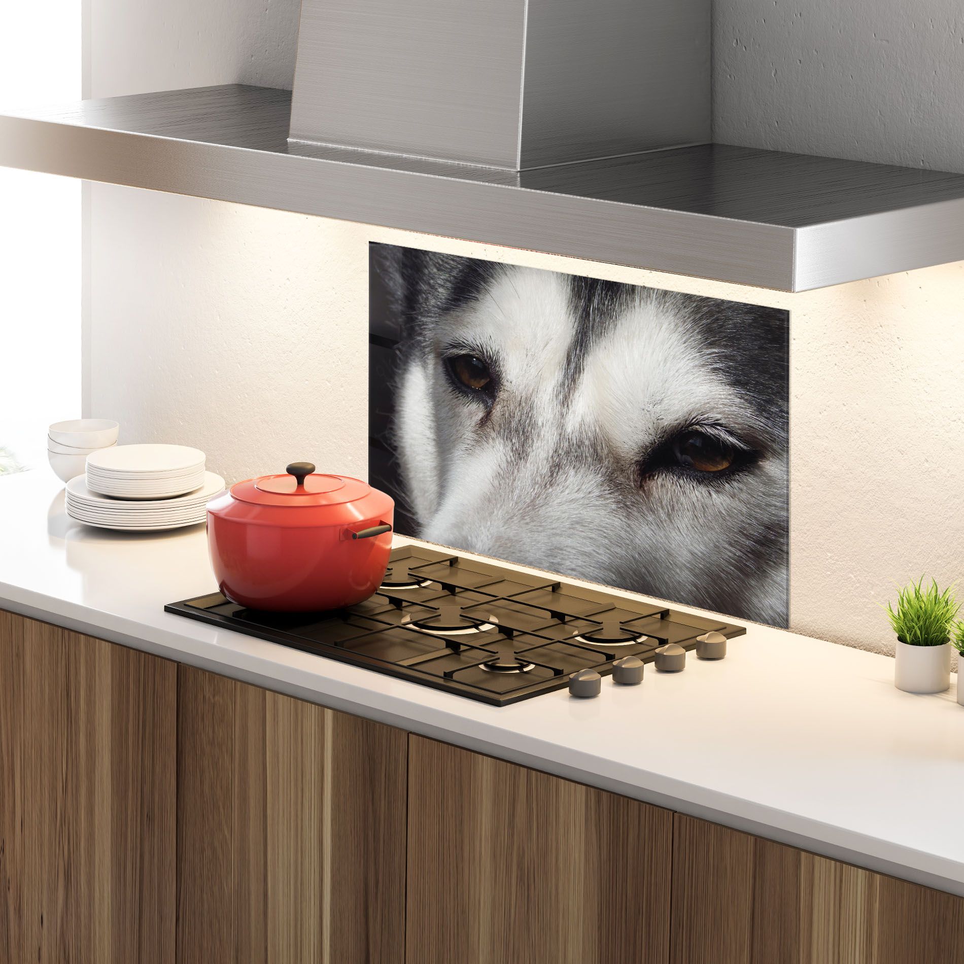 Close Up Wolf mockup 4