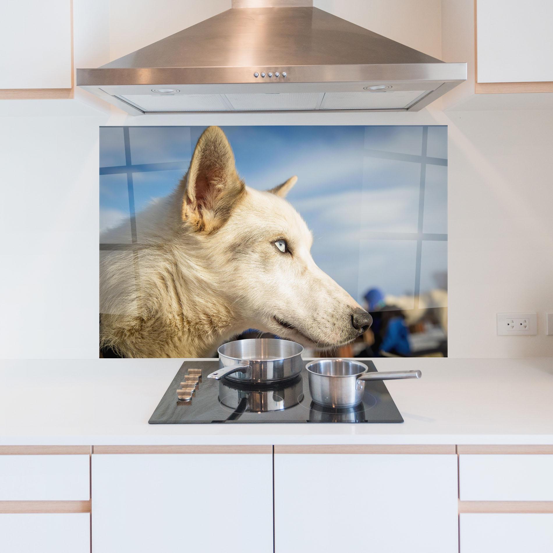 Стъклен панел за кухня White Wolf Looking mockup 5