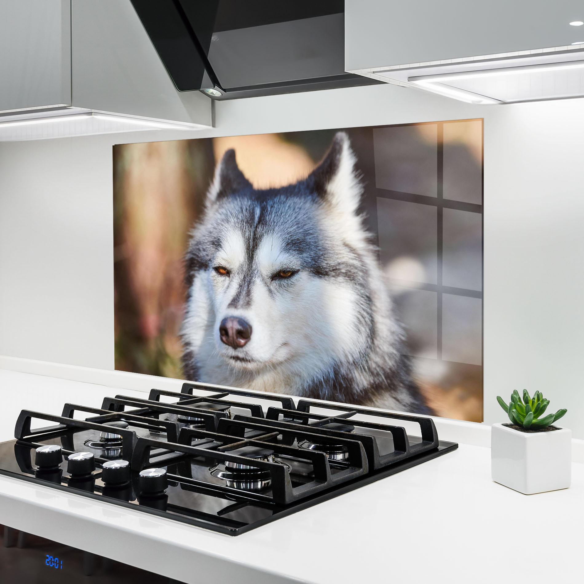 Стъклен панел за кухня Annoyed Wolf mockup 6