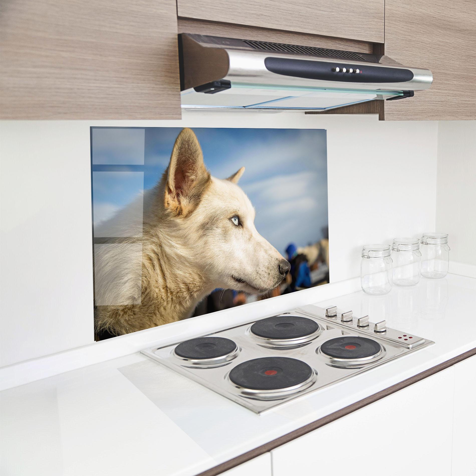 Стъклен панел за кухня White Wolf Looking mockup 8