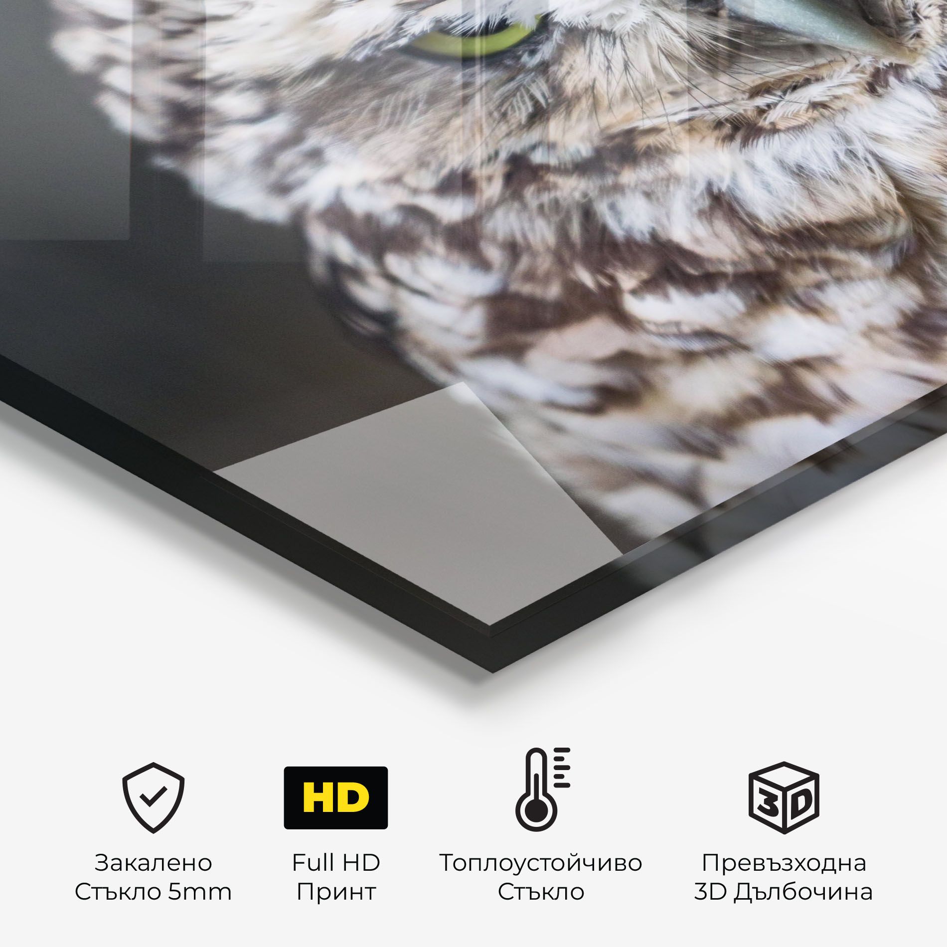 Angry Little Owl mockup 2