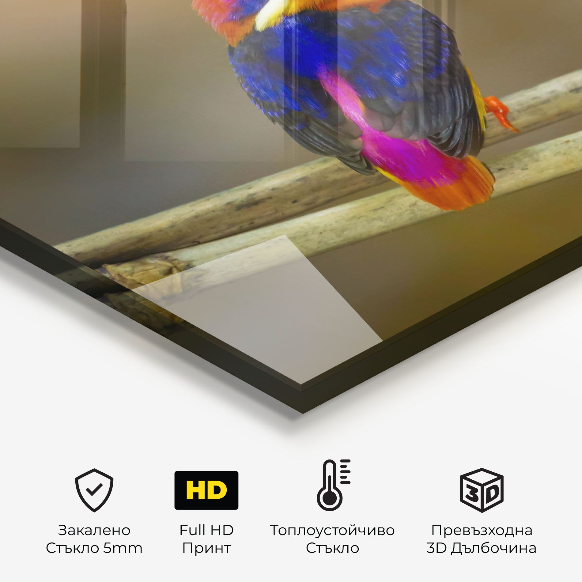 Colorful Bird mockup 2