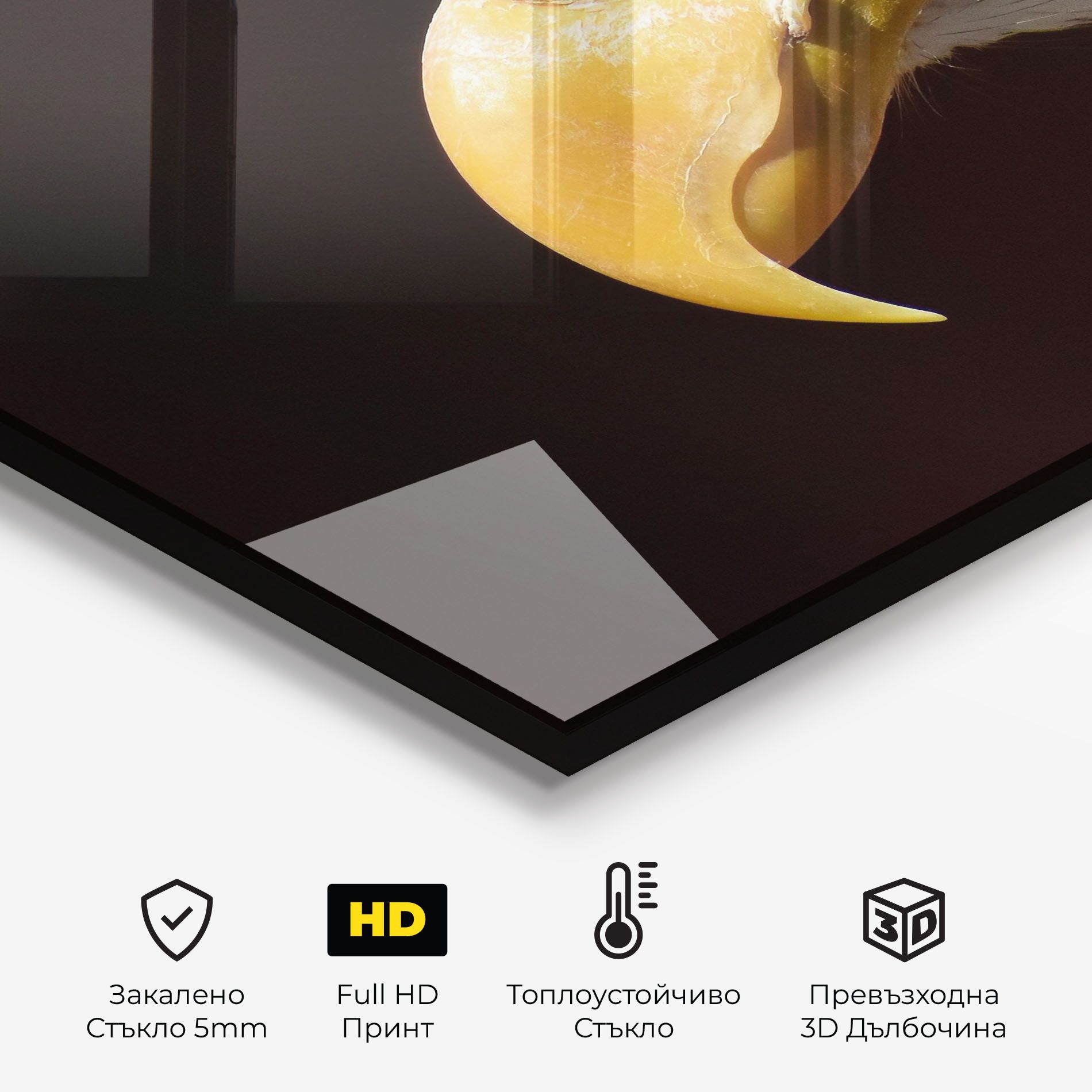 Eagle Close Up mockup 2