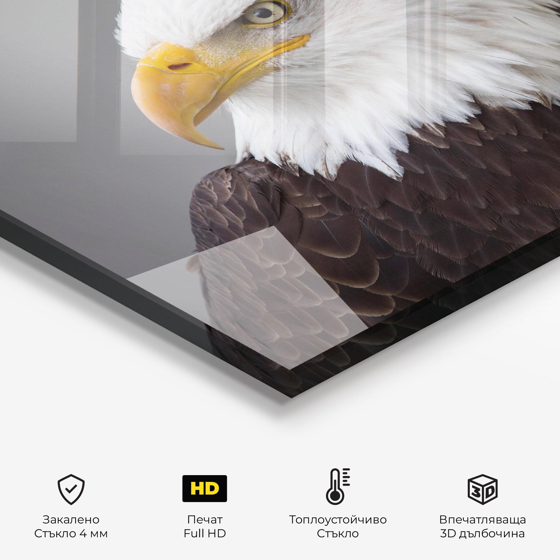Стъклен панел за кухня Beautiful Eagle mockup 2