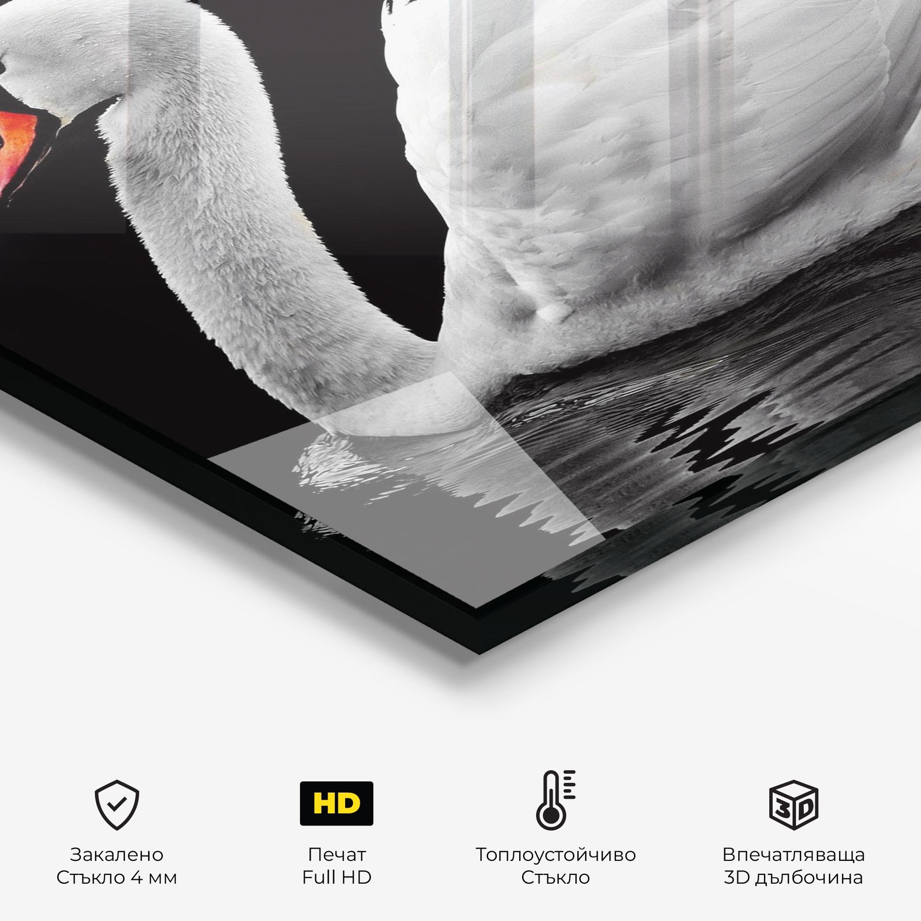 Стъклен панел за кухня Black And White Swan mockup 2